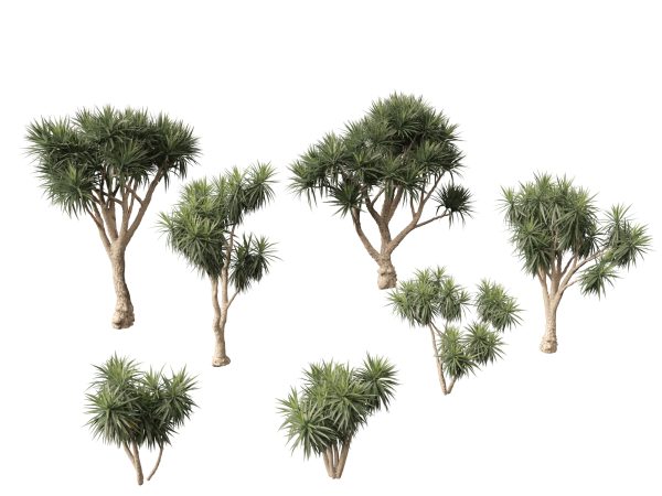Exotic Tropical Greenery Pack 36 - Image 8
