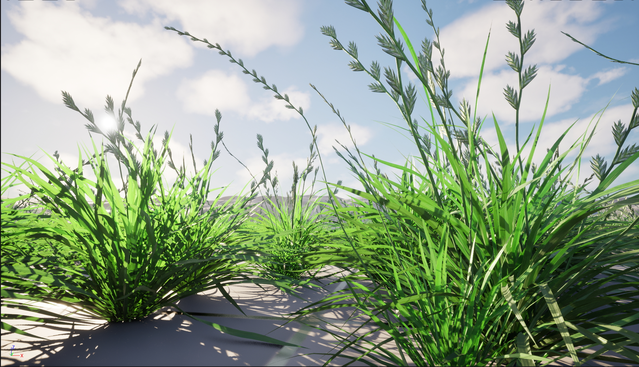 UE5 Nanite Wind Plants - Lolium perenne – Perennial ryegrass - Image 5