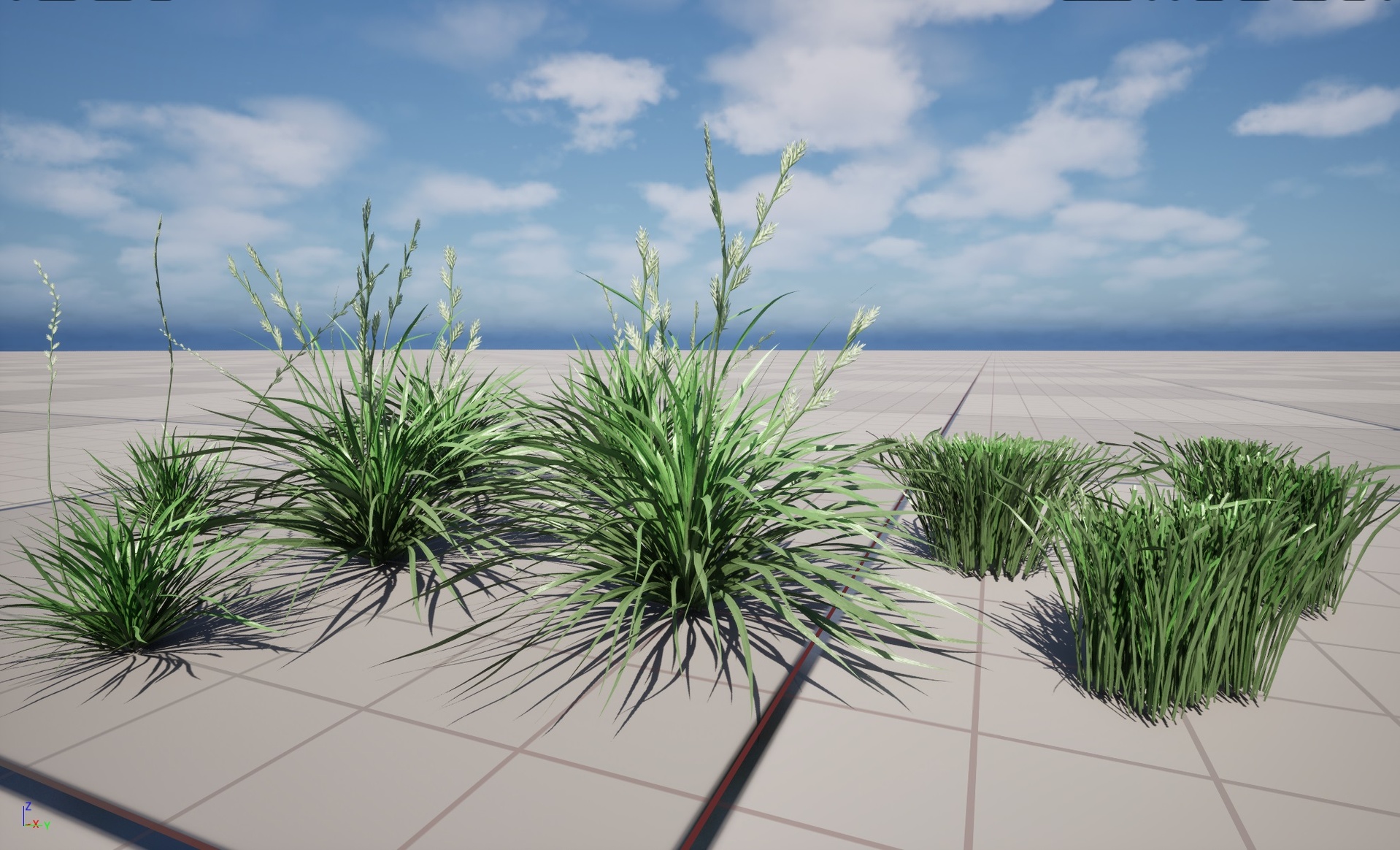 UE5 Nanite Wind Plants - Lolium perenne – Perennial ryegrass - Image 3