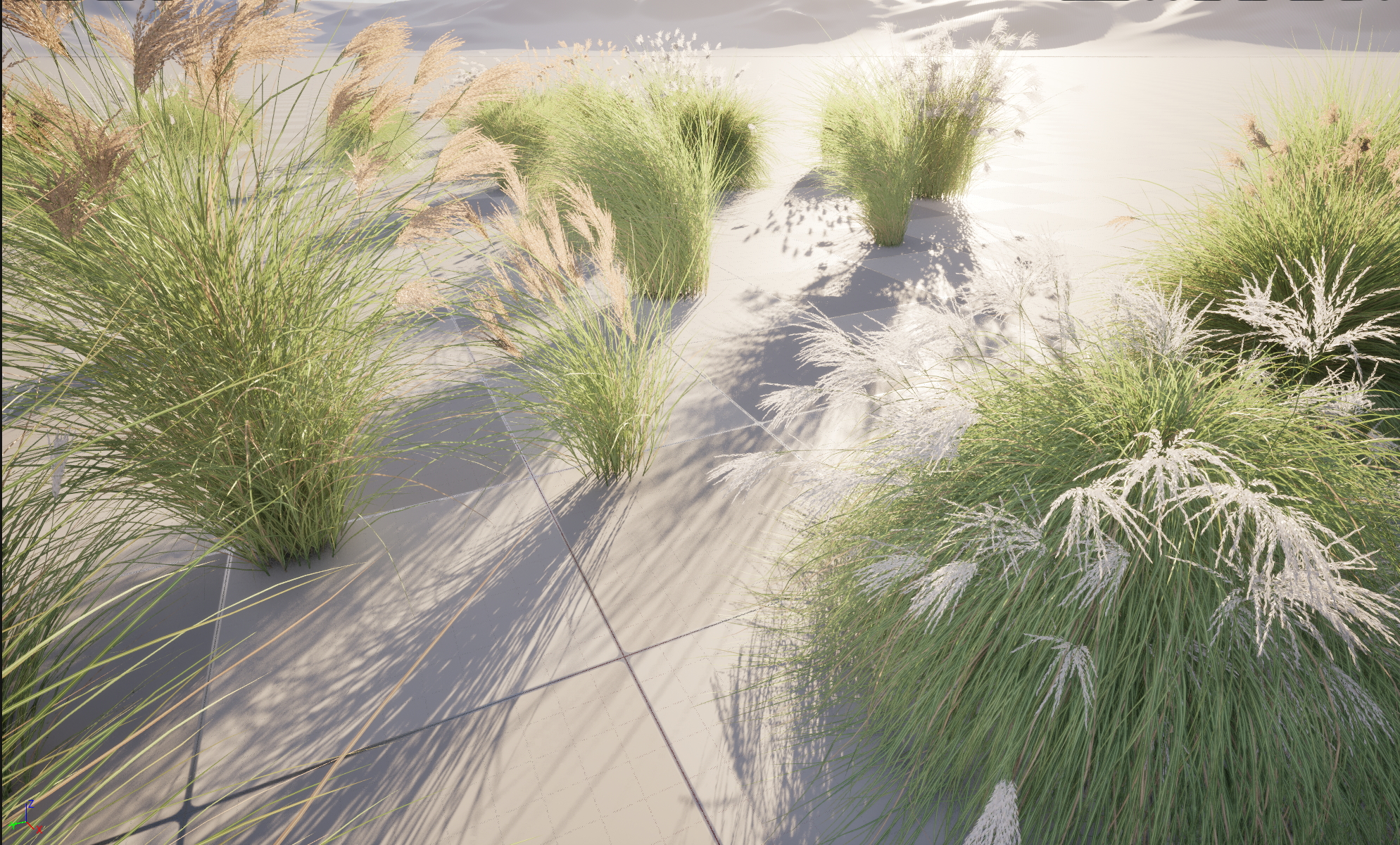 UE5 Nanite Plant Grass - Miscanthus sinensis Gracillimus - Chinese silver grass 01+02 - Image 2
