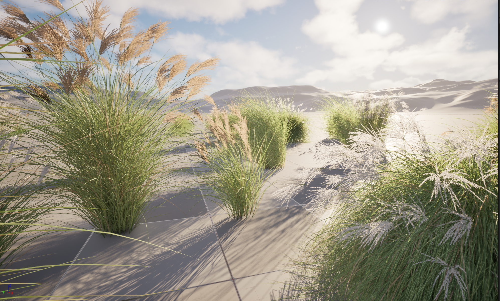 UE5 Nanite Plant Grass - Miscanthus sinensis Gracillimus - Chinese silver grass 01+02 - Image 11