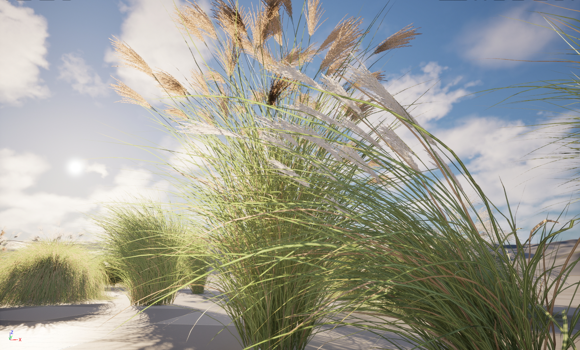 UE5 Nanite Plant Grass - Miscanthus sinensis Gracillimus - Chinese silver grass 01+02