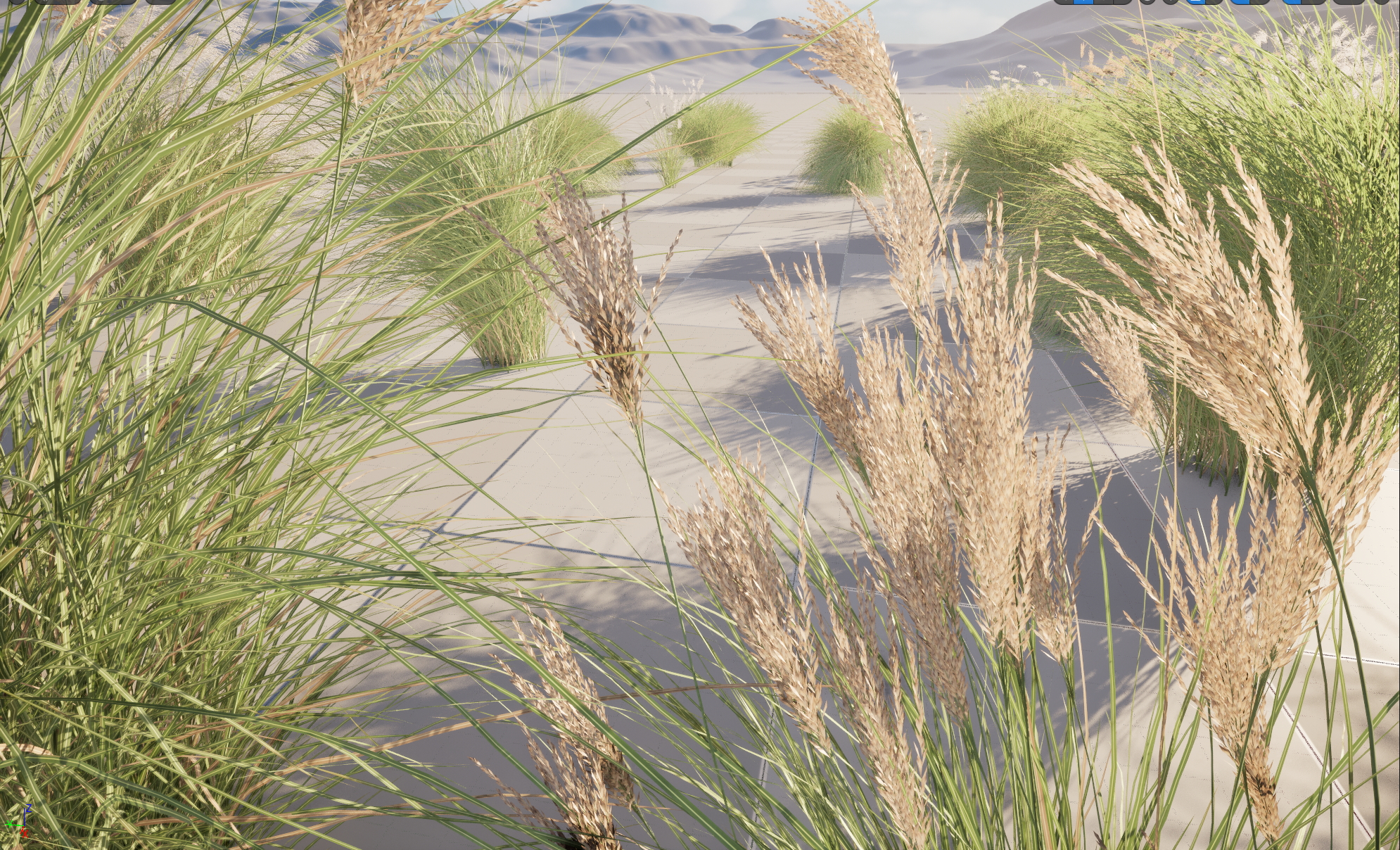 UE5 Nanite Plant Grass - Miscanthus sinensis Gracillimus - Chinese silver grass 01+02 - Image 9
