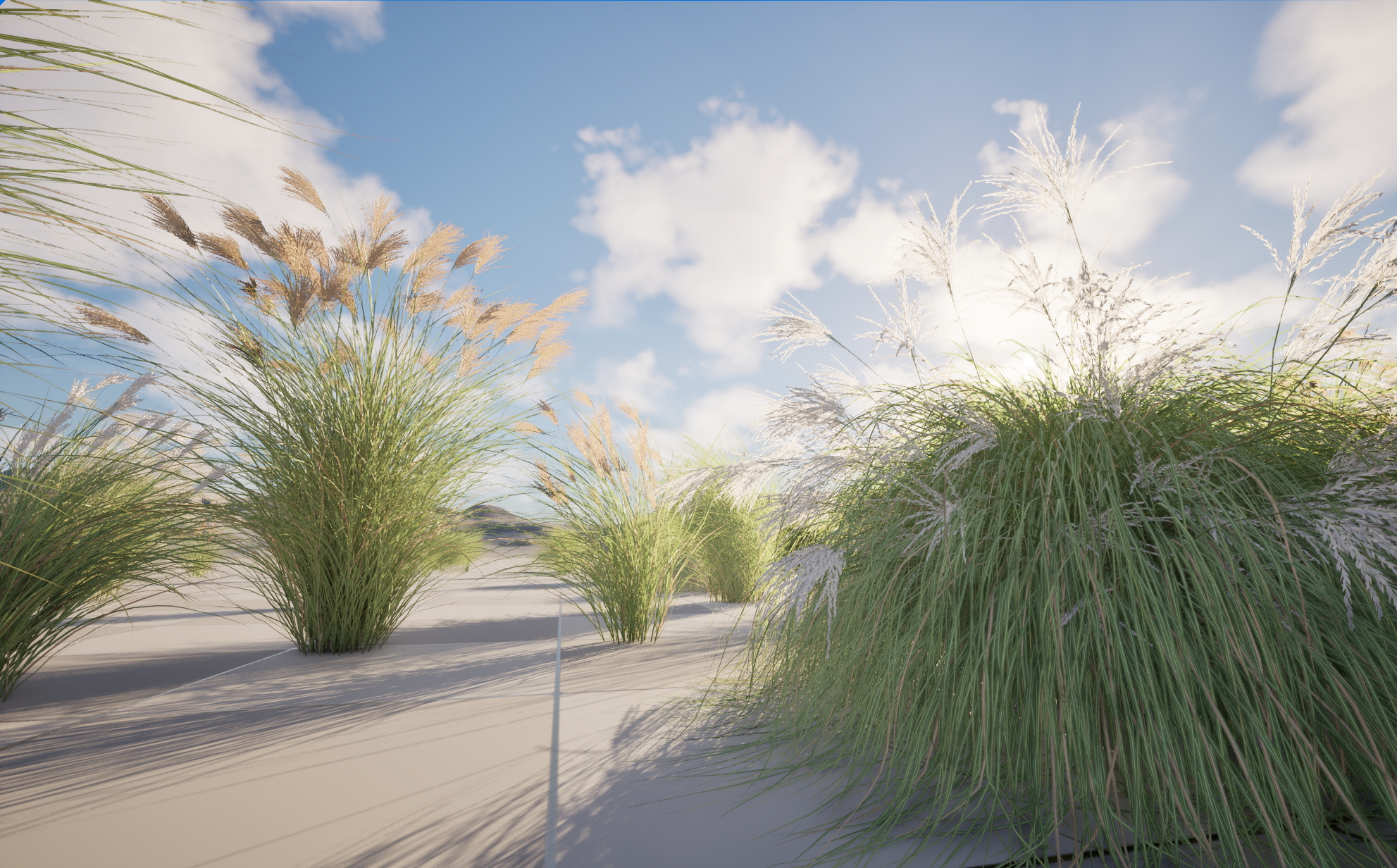 UE5 Nanite Plant Grass - Miscanthus sinensis Gracillimus - Chinese silver grass 01+02 - Image 8