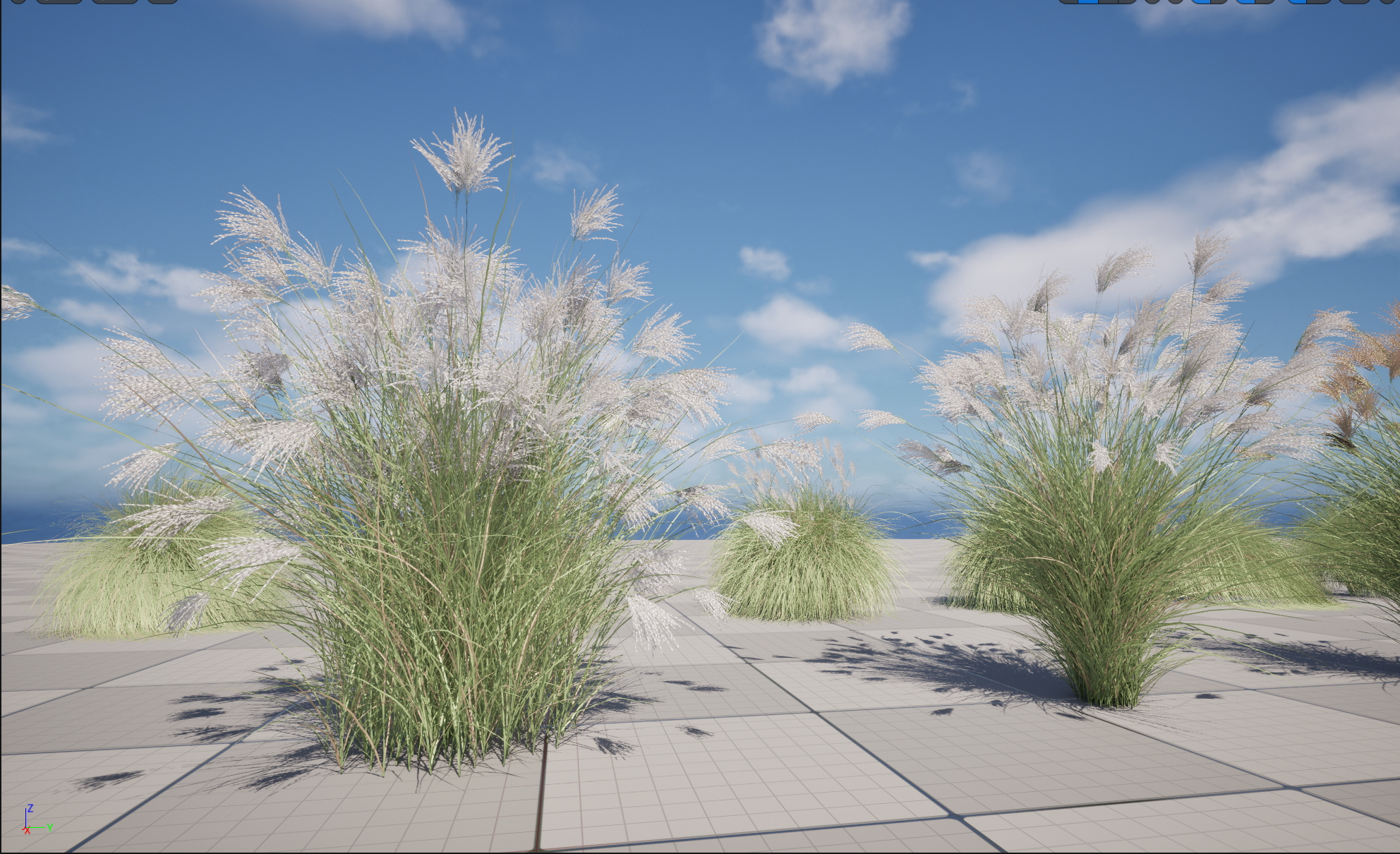 UE5 Nanite Plant Grass - Miscanthus sinensis Gracillimus - Chinese silver grass 01+02 - Image 7