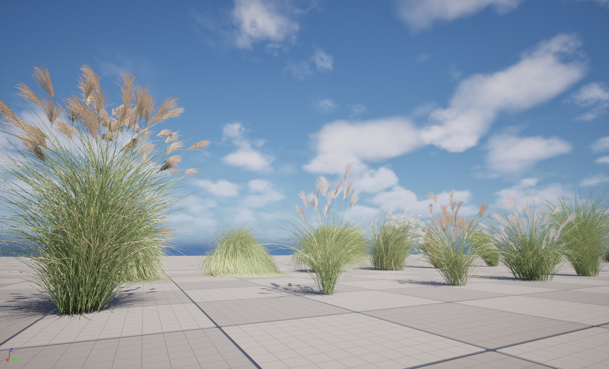 UE5 Nanite Plant Grass - Miscanthus sinensis Gracillimus - Chinese silver grass 01+02 - Image 6