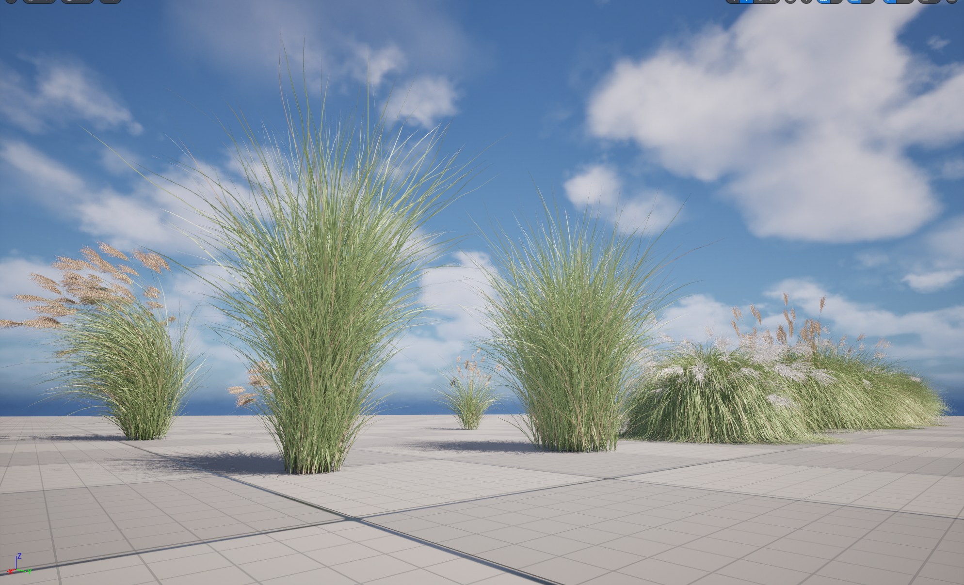 UE5 Nanite Plant Grass - Miscanthus sinensis Gracillimus - Chinese silver grass 01+02 - Image 5