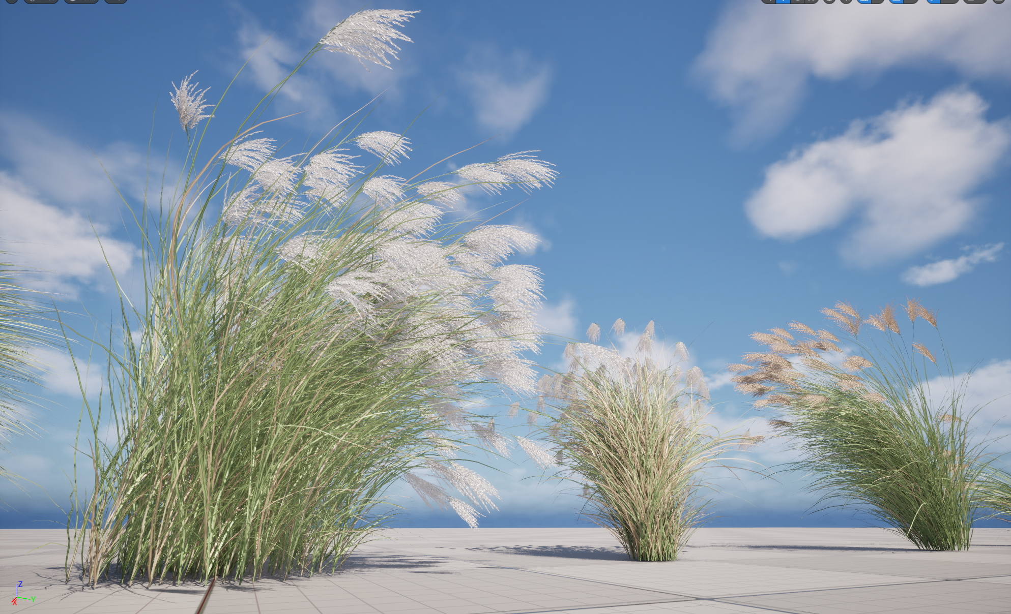 UE5 Nanite Plant Grass - Miscanthus sinensis Gracillimus - Chinese silver grass 01+02 - Image 4