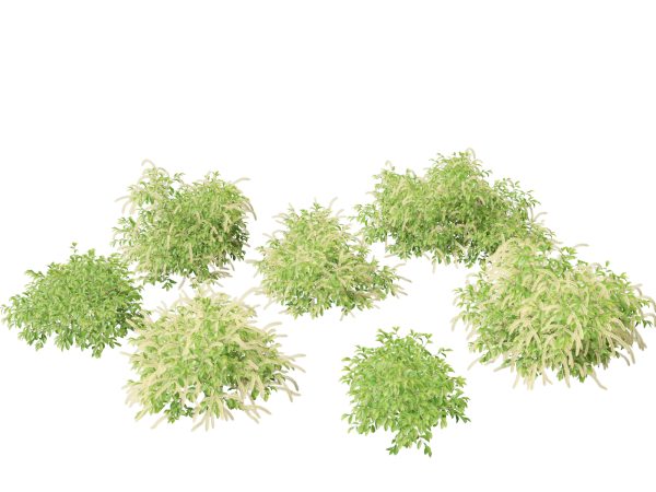 Aquatic & Wetland Plants Pack 45 - Image 9