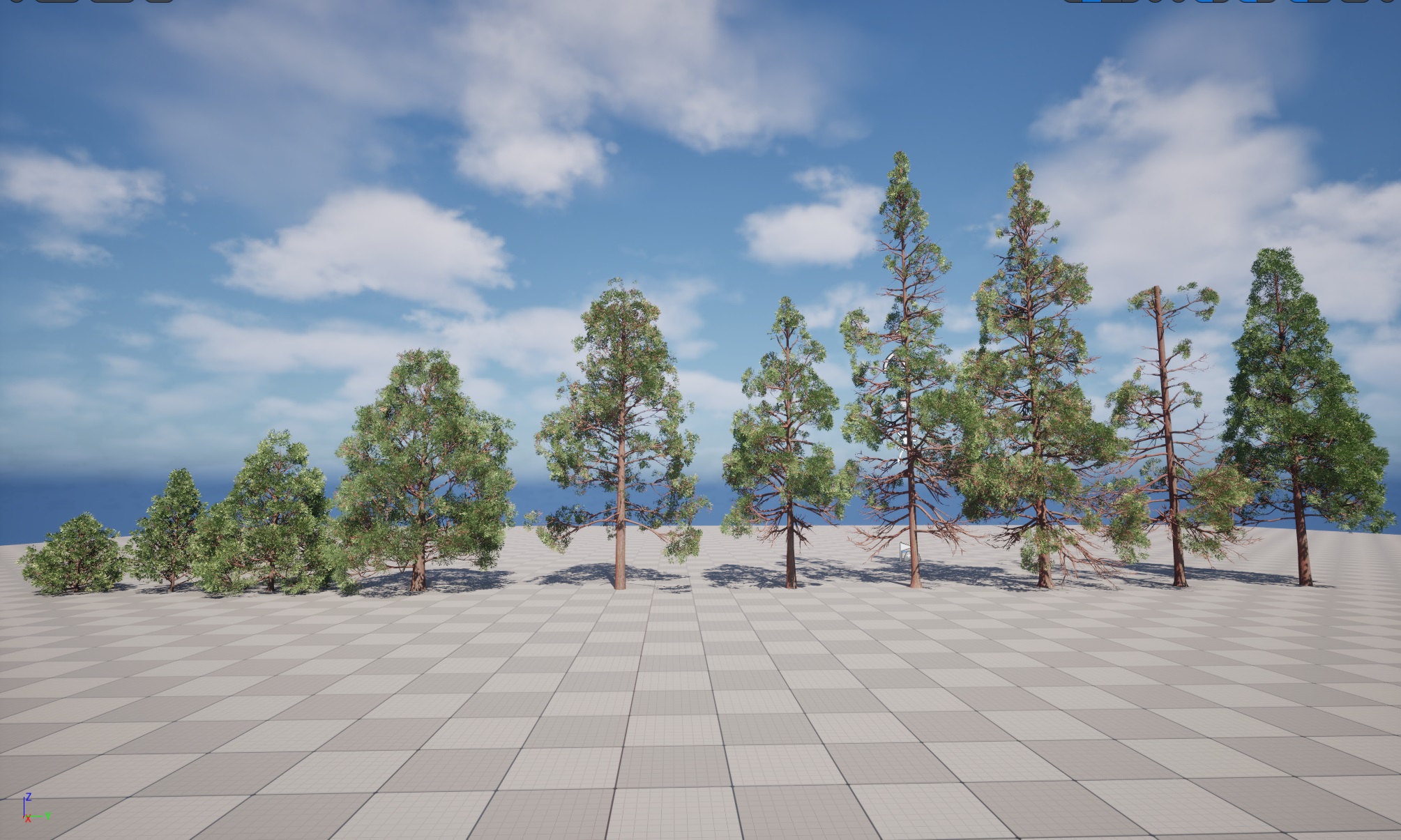 Nanite Plants tree - cryptomeria japonica – Japanese cedar - Image 2