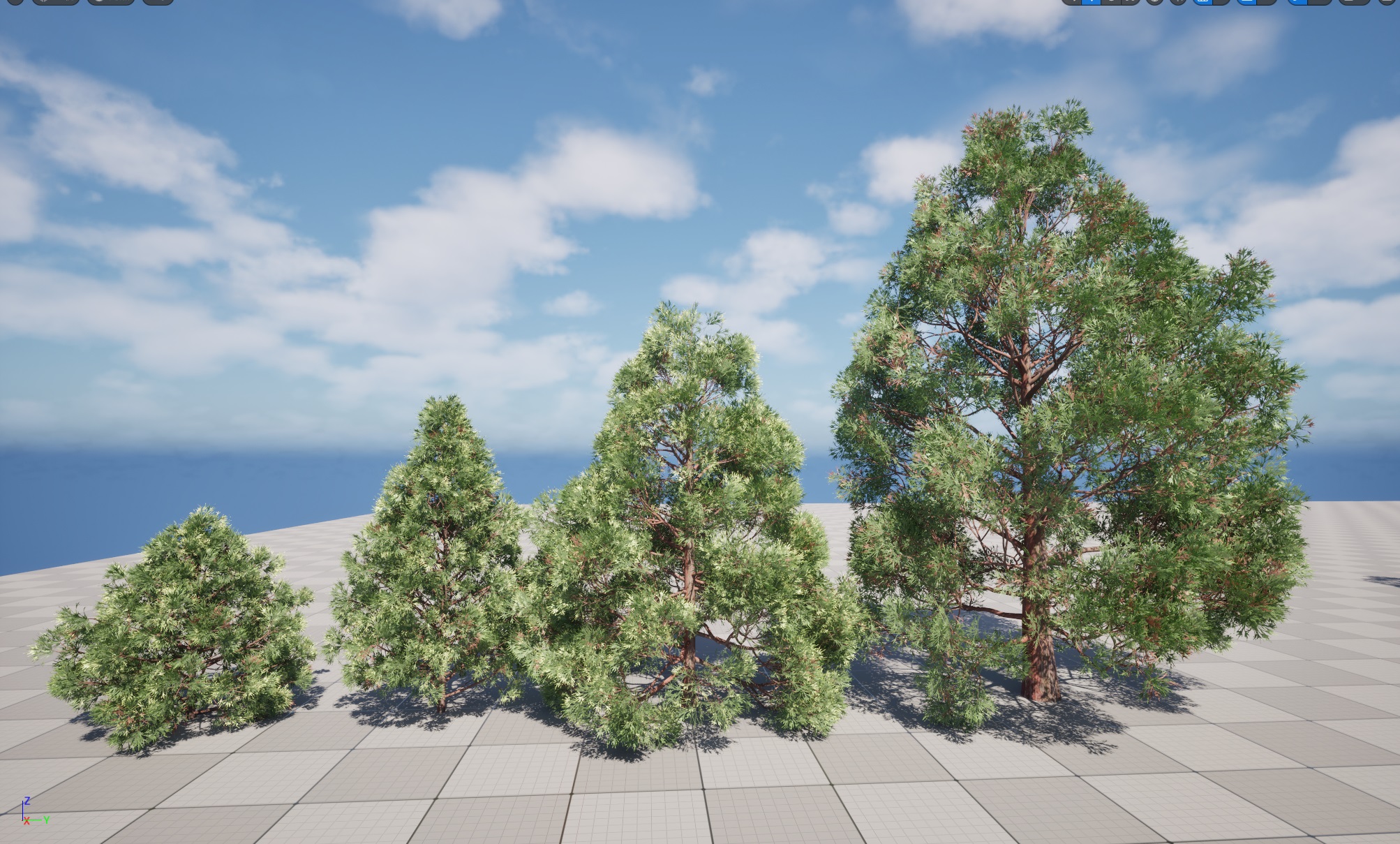 Nanite Plants tree - cryptomeria japonica – Japanese cedar - Image 6