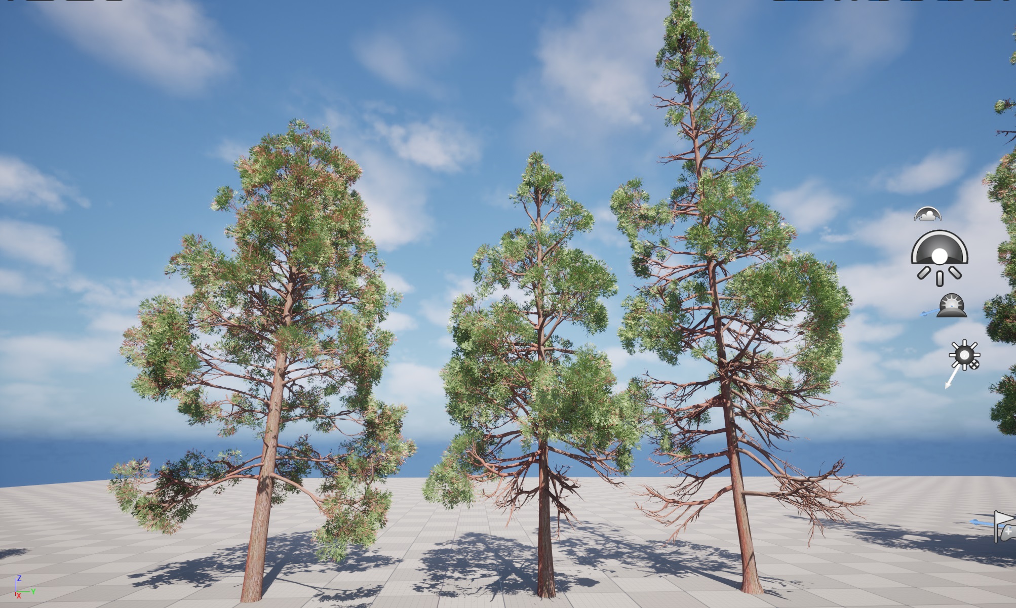 Nanite Plants tree - cryptomeria japonica – Japanese cedar - Image 5