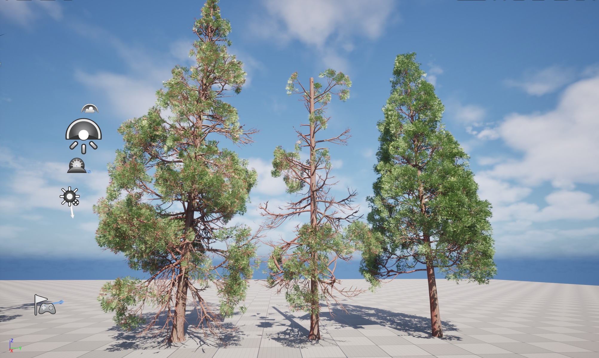 Nanite Plants tree - cryptomeria japonica – Japanese cedar - Image 4