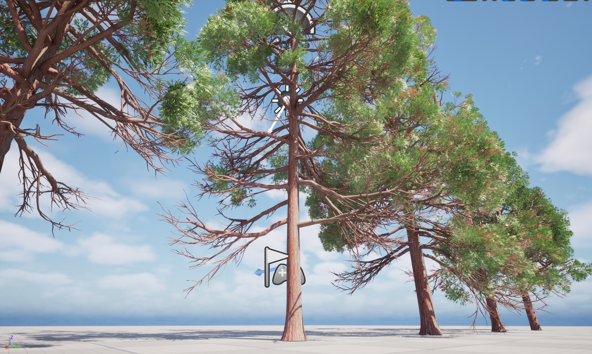 Nanite Plants tree - cryptomeria japonica – Japanese cedar - Image 3