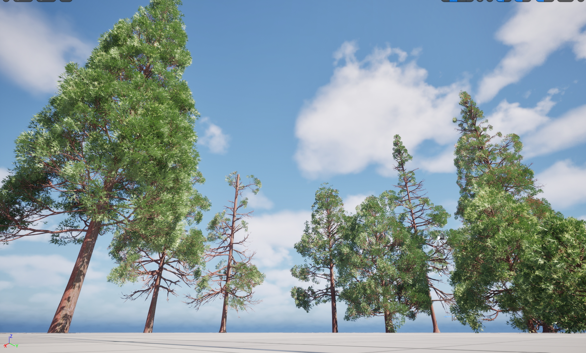 Nanite Plants tree - cryptomeria japonica – Japanese cedar