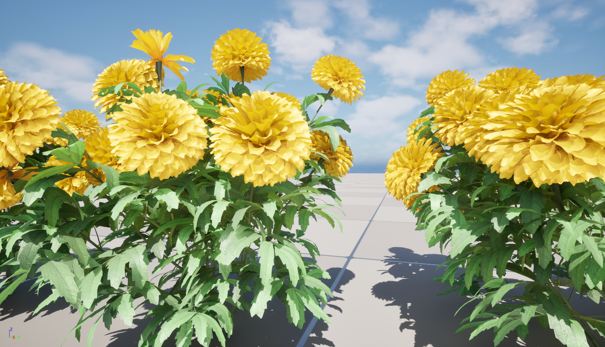 UE5 Nanite Wind Plants - Tagetes erecta - African marigold - Image 3