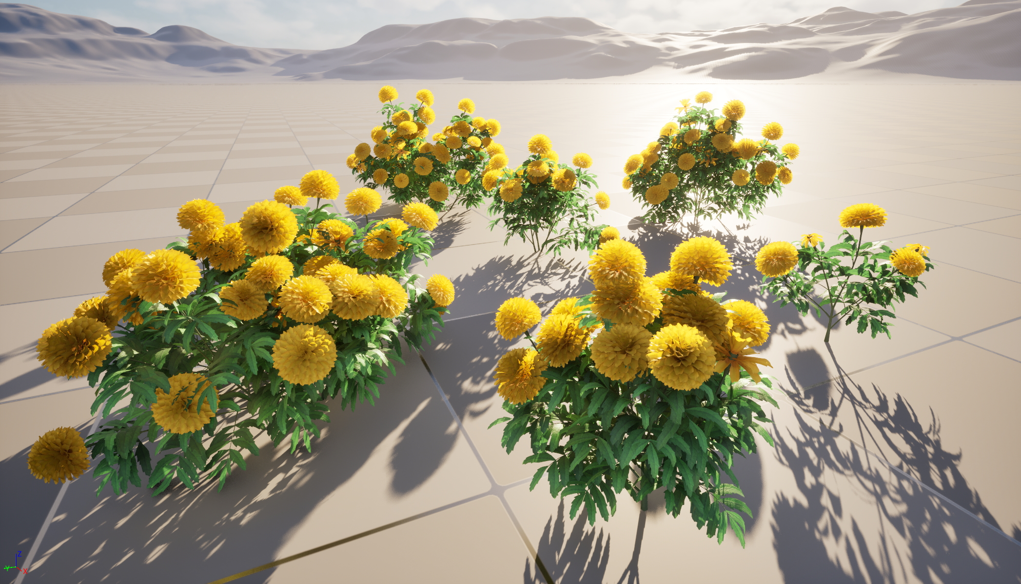 UE5 Nanite Wind Plants - Tagetes erecta - African marigold