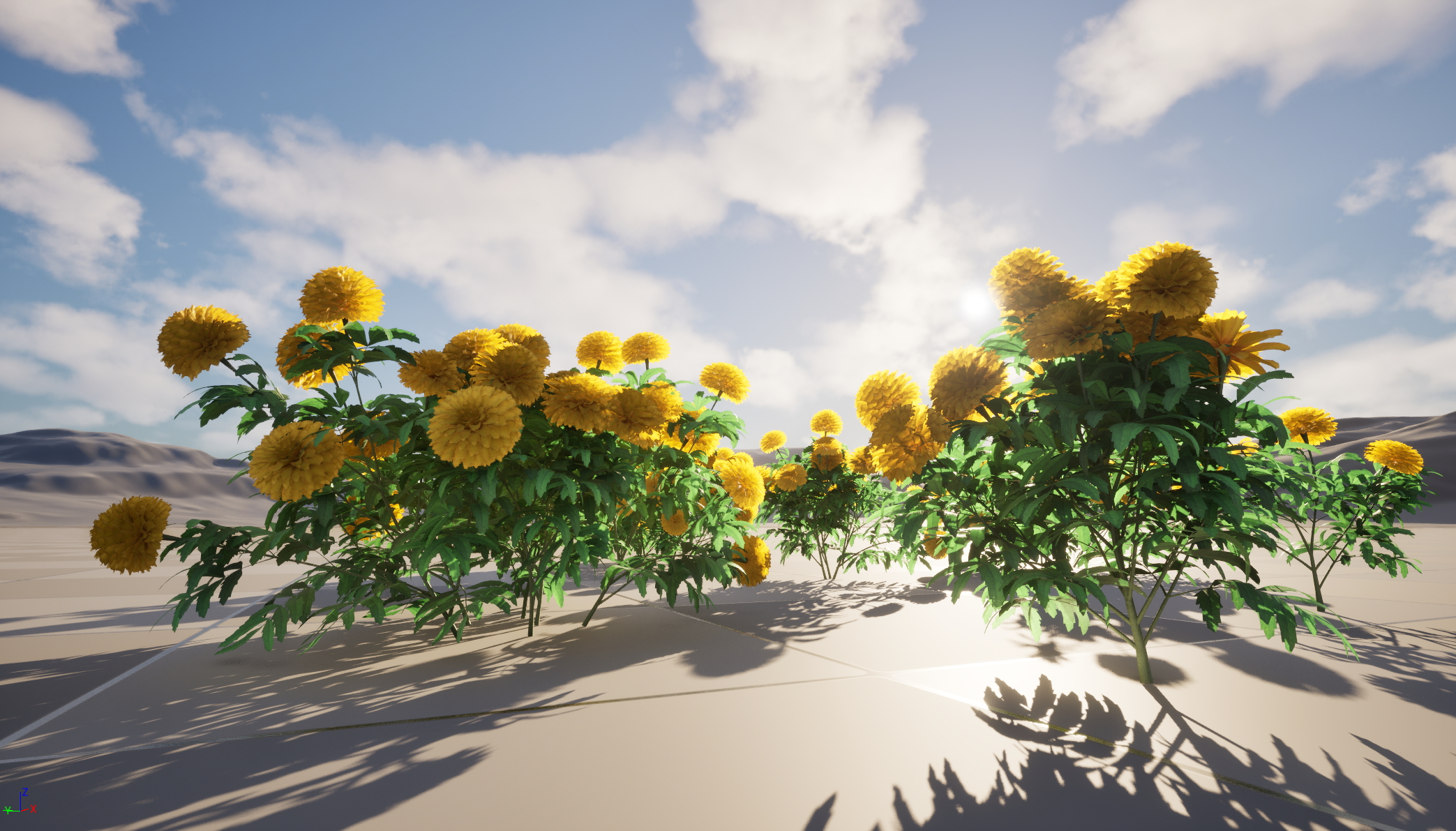 UE5 Nanite Wind Plants - Tagetes erecta - African marigold - Image 4