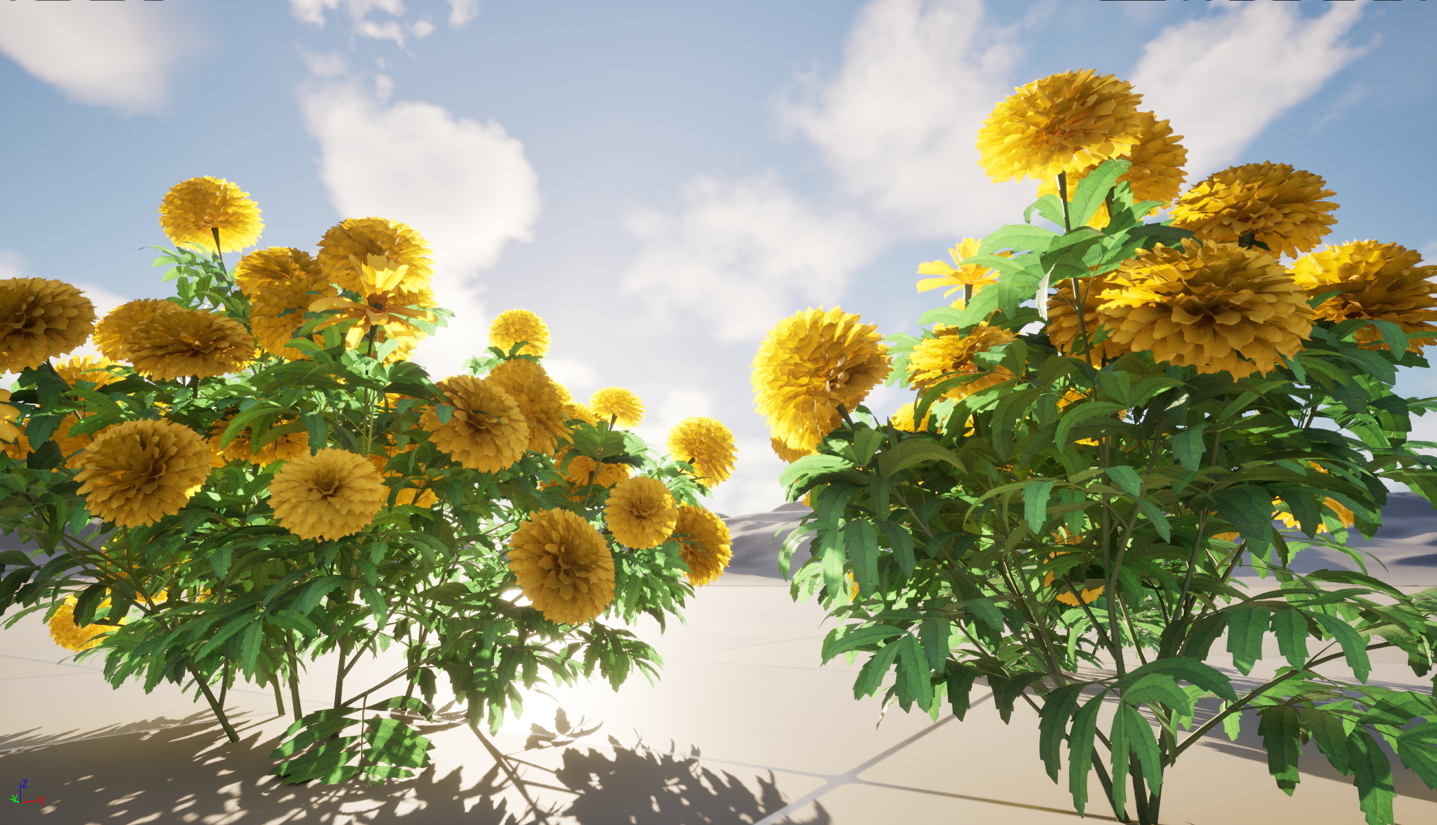 UE5 Nanite Wind Plants - Tagetes erecta - African marigold - Image 5