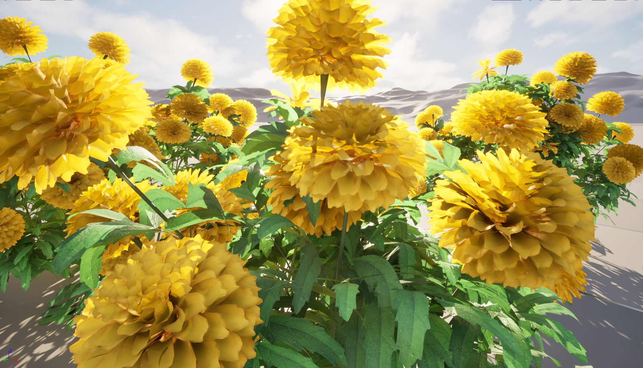 UE5 Nanite Wind Plants - Tagetes erecta - African marigold - Image 6