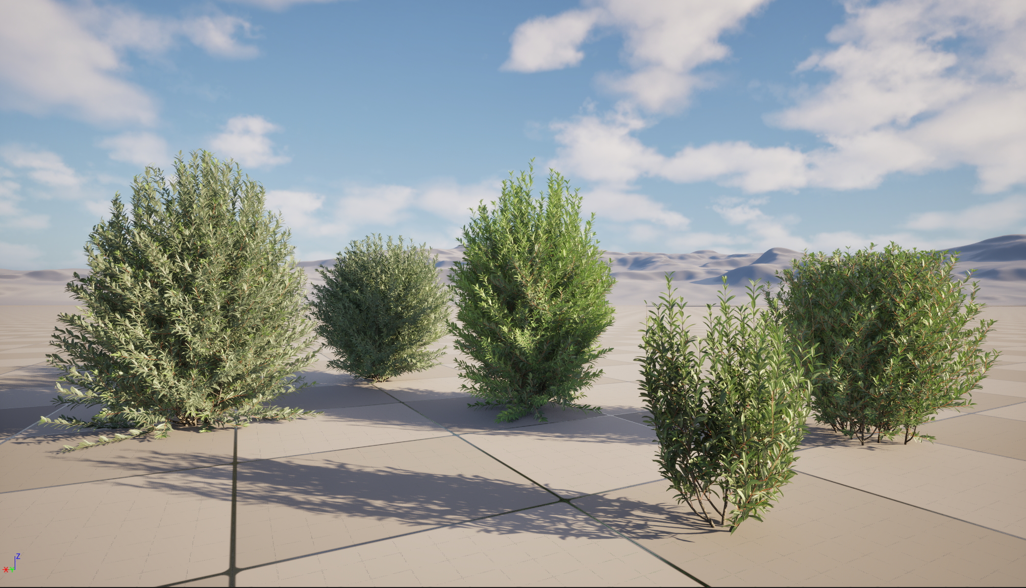 UE5 Nanite Wind Plants - Ligustrum vulgare – European privet