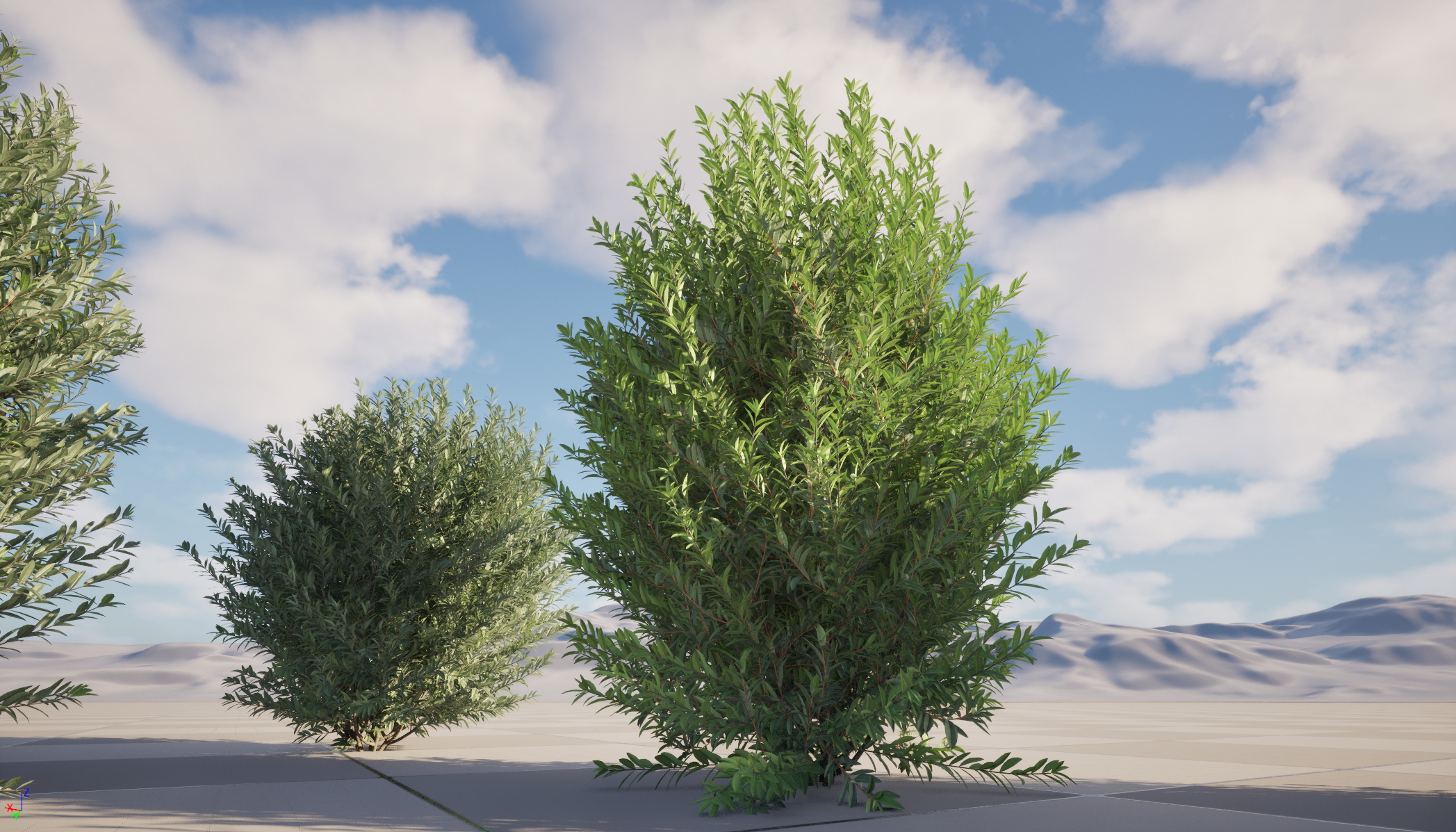 UE5 Nanite Wind Plants - Ligustrum vulgare – European privet - Image 2