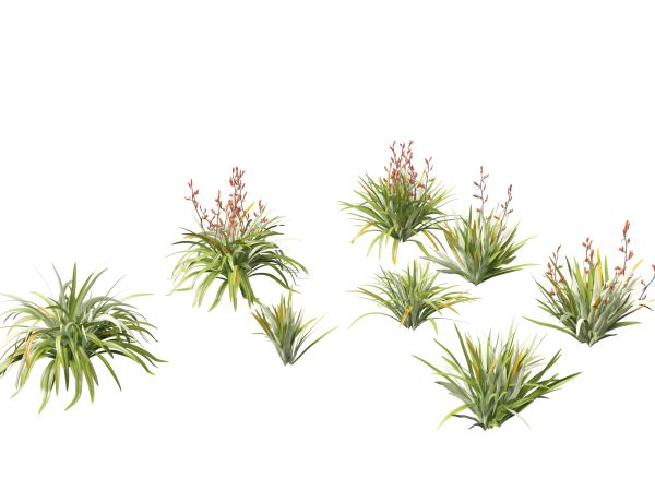 Tropical & Architectural Foliage Pack 51 - Image 13