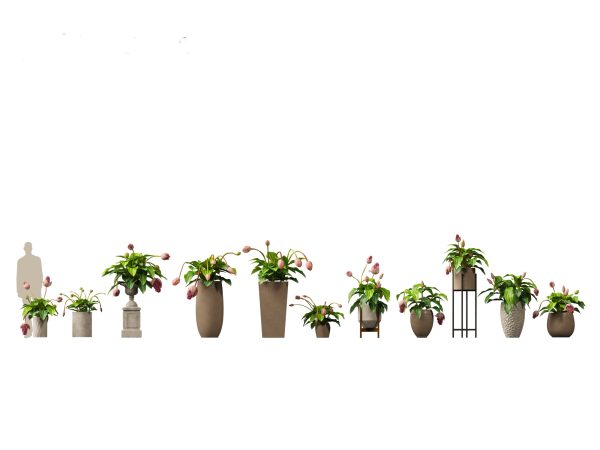 Chic Indoor Potted Plants Pack 27 - Image 14