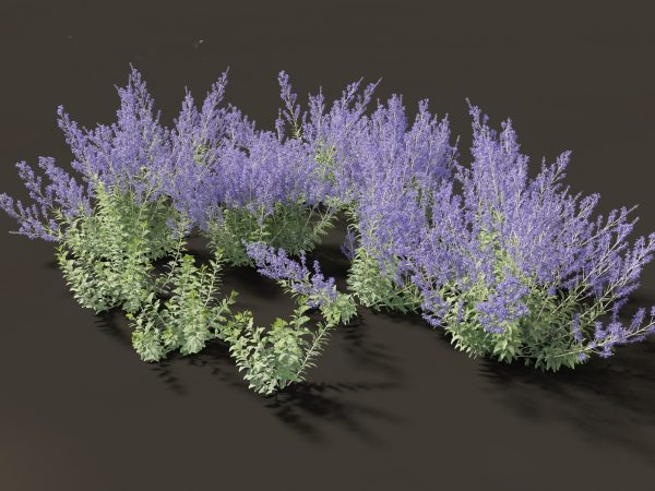 Mediterranean & Arid Plants Pack 44 - Image 12