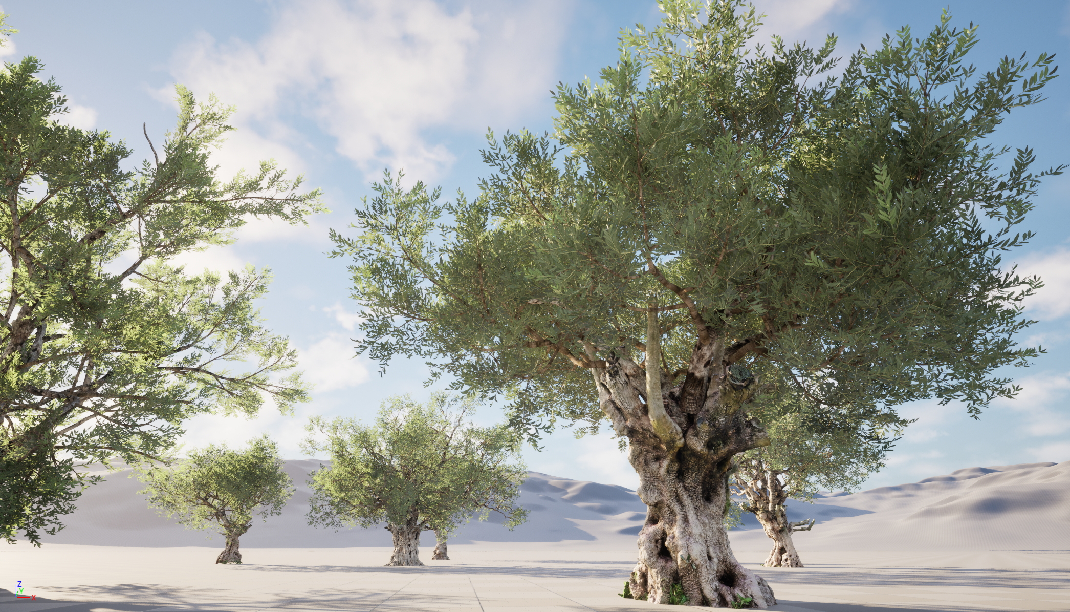 UE5 Nanite Wind Plants - Scanned Olea europaea – Common olive Pack (01-08) - Image 2