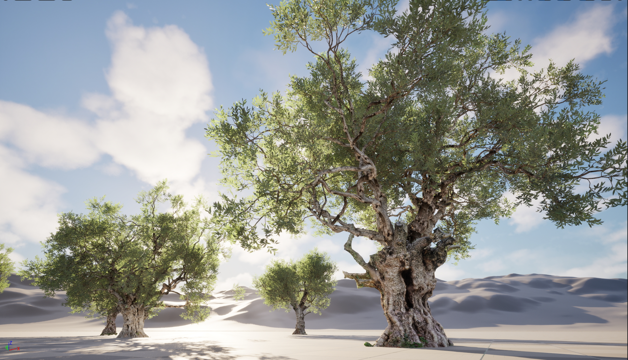 UE5 Nanite Wind Plants - Scanned Olea europaea – Common olive Pack (01-08) - Image 9