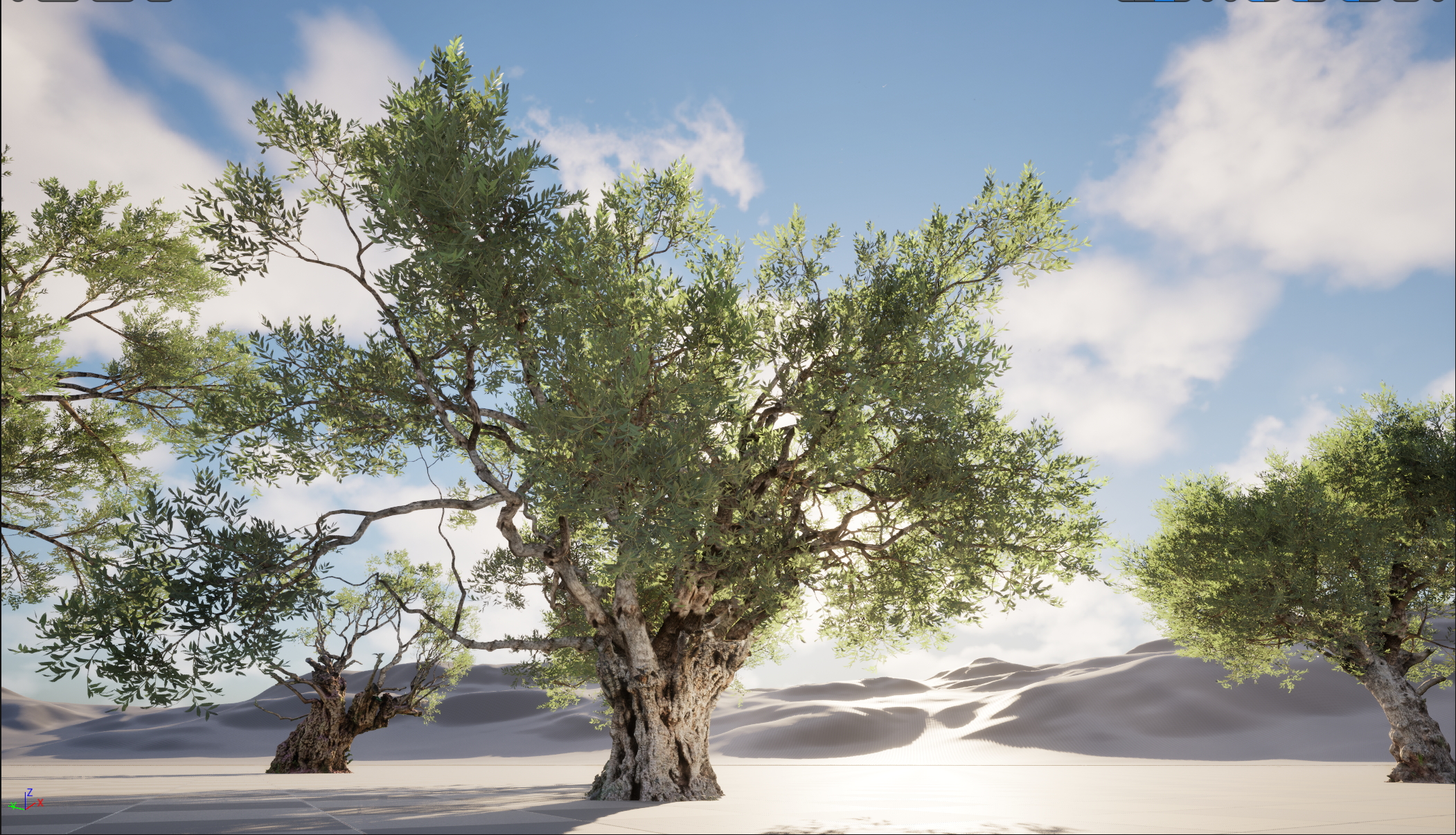 UE5 Nanite Wind Plants - Scanned Olea europaea – Common olive Pack (01-08) - Image 8