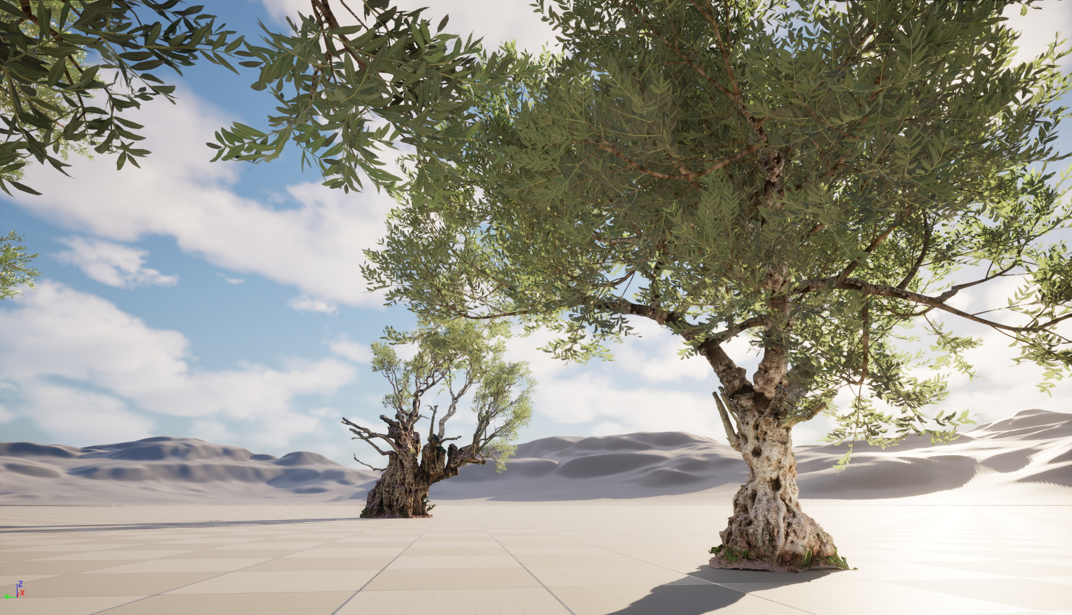 UE5 Nanite Wind Plants - Scanned Olea europaea – Common olive Pack (01-08) - Image 7