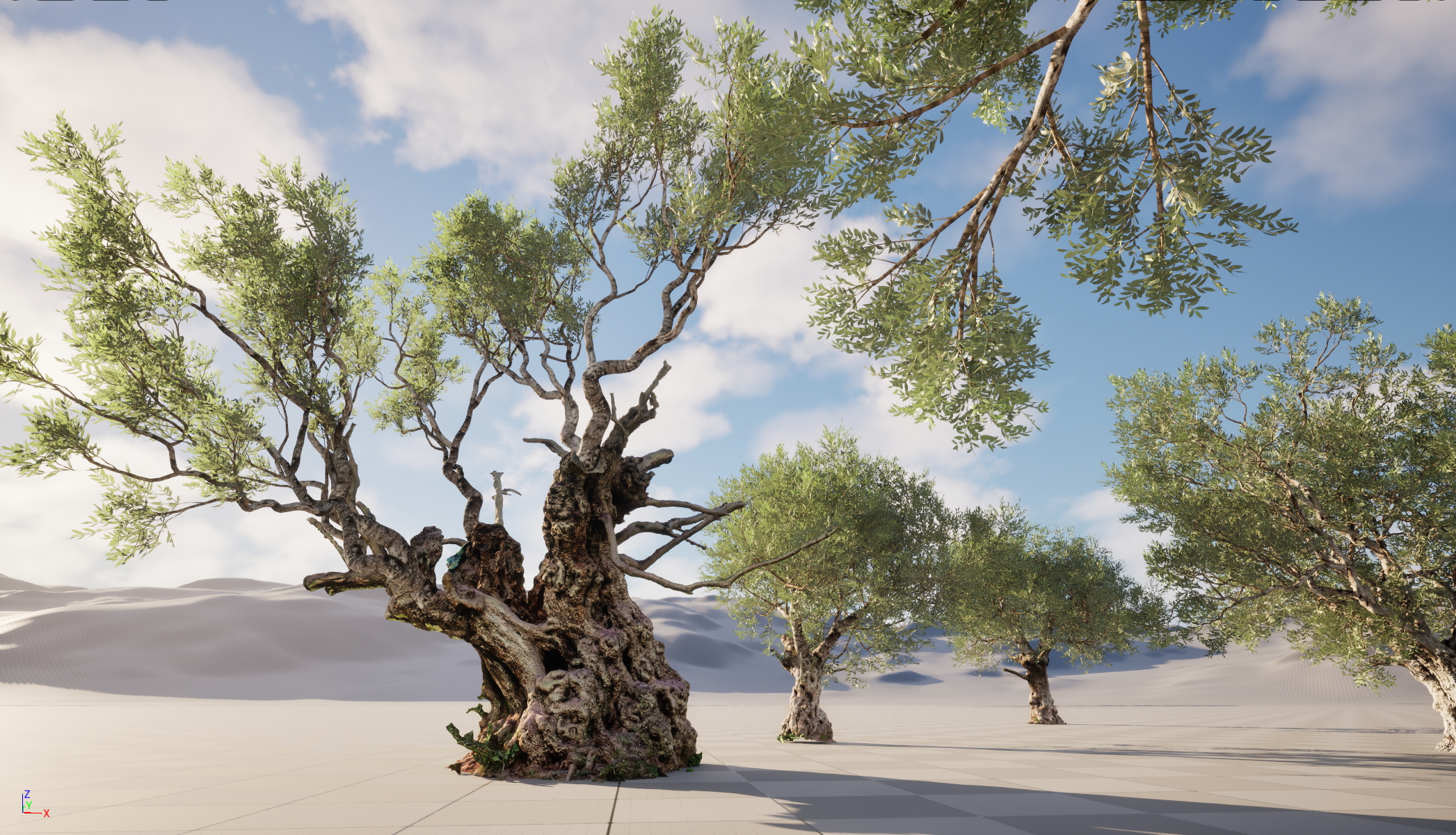 UE5 Nanite Wind Plants - Scanned Olea europaea – Common olive Pack (01-08) - Image 5