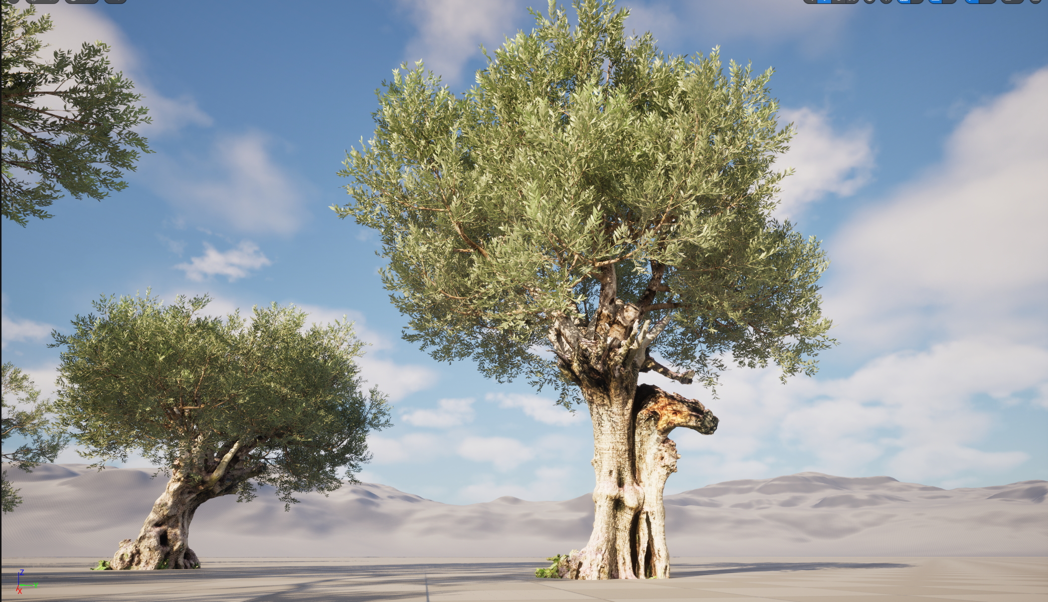UE5 Nanite Wind Plants - Scanned Olea europaea – Common olive Pack (01-08) - Image 4