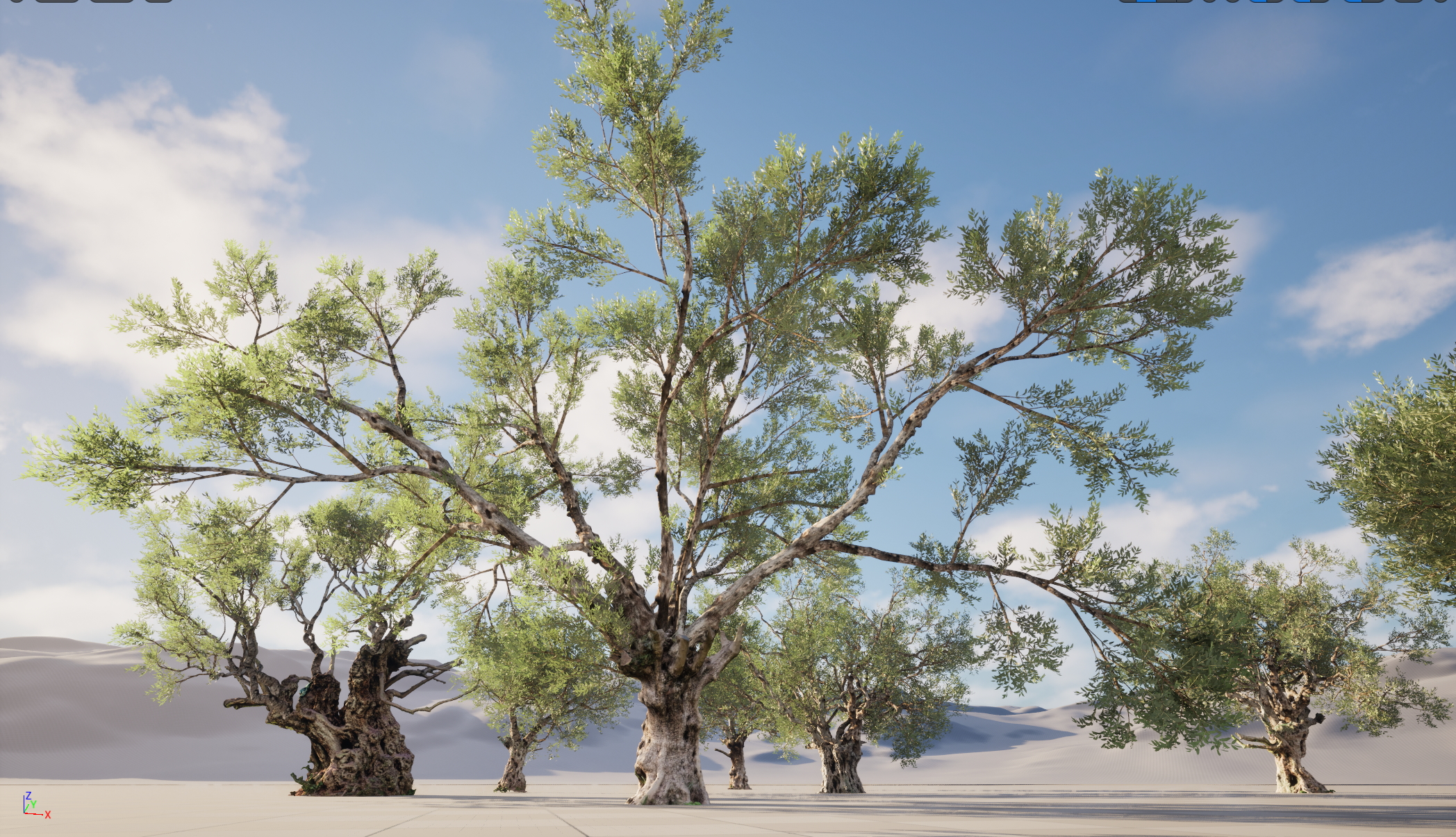 UE5 Nanite Wind Plants - Scanned Olea europaea – Common olive Pack (01-08) - Image 3