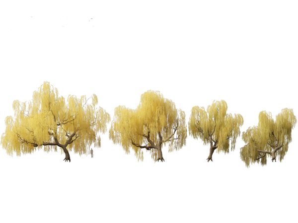 Autumn Colors Collection Pack 06 - Image 14