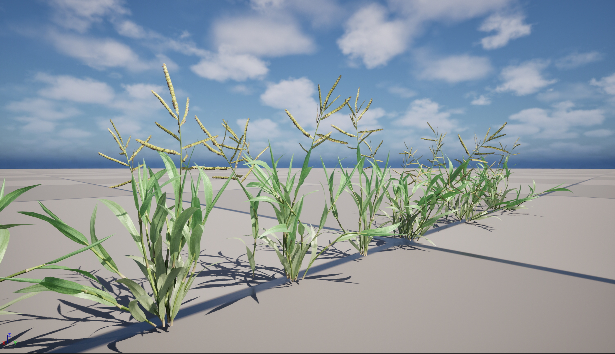 UE5 Nanite Wind Plants - Paspalum wettsteinii -Broadleaf - Image 3