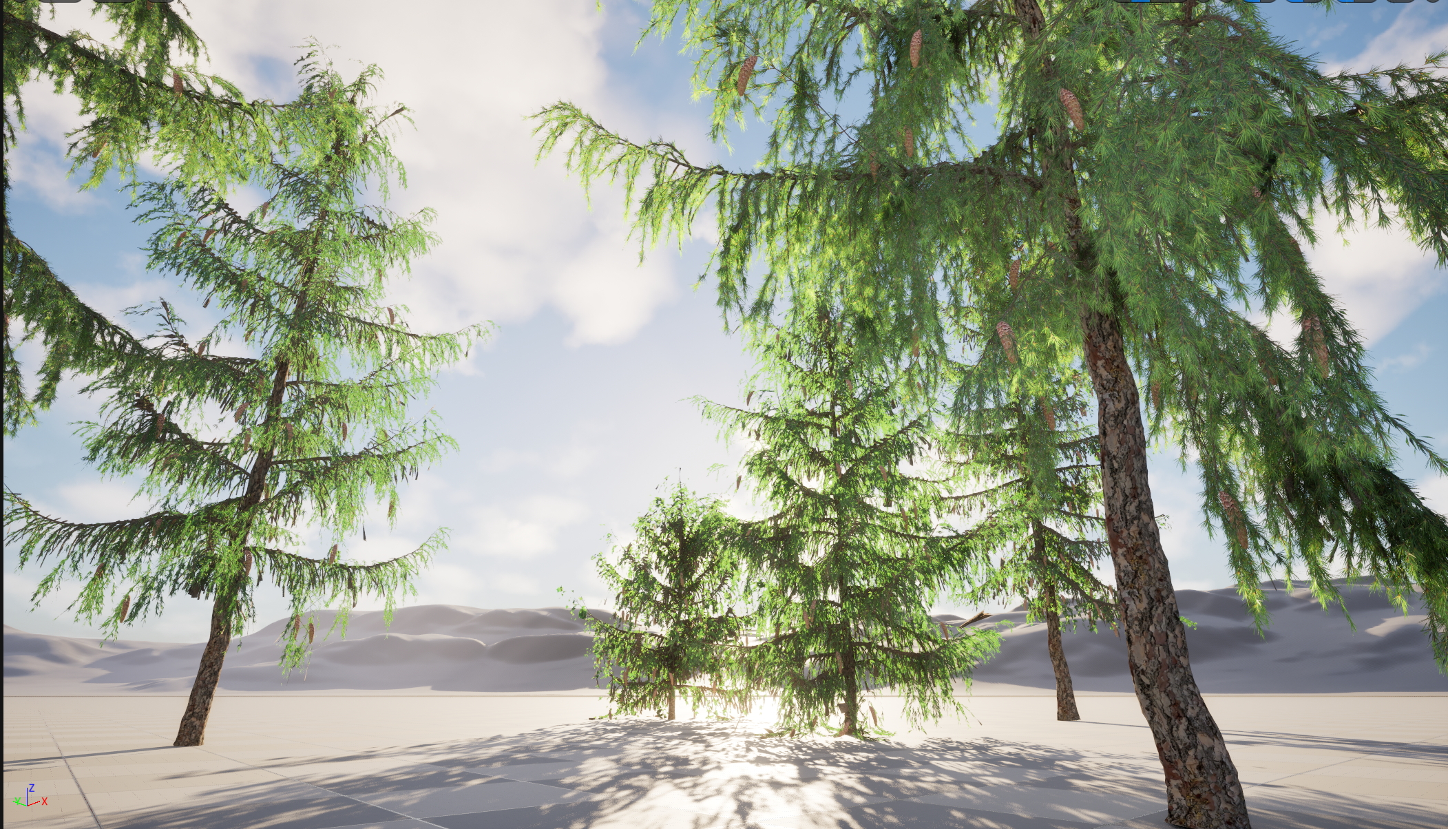 UE5 Nanite Wind Plants - Picea breweriana - Brewers spruce - Image 4