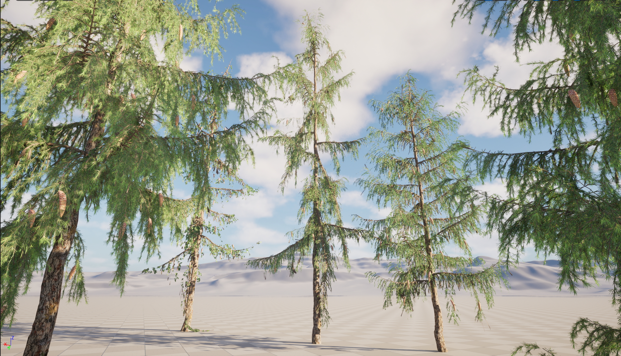 UE5 Nanite Wind Plants - Picea breweriana - Brewers spruce - Image 3
