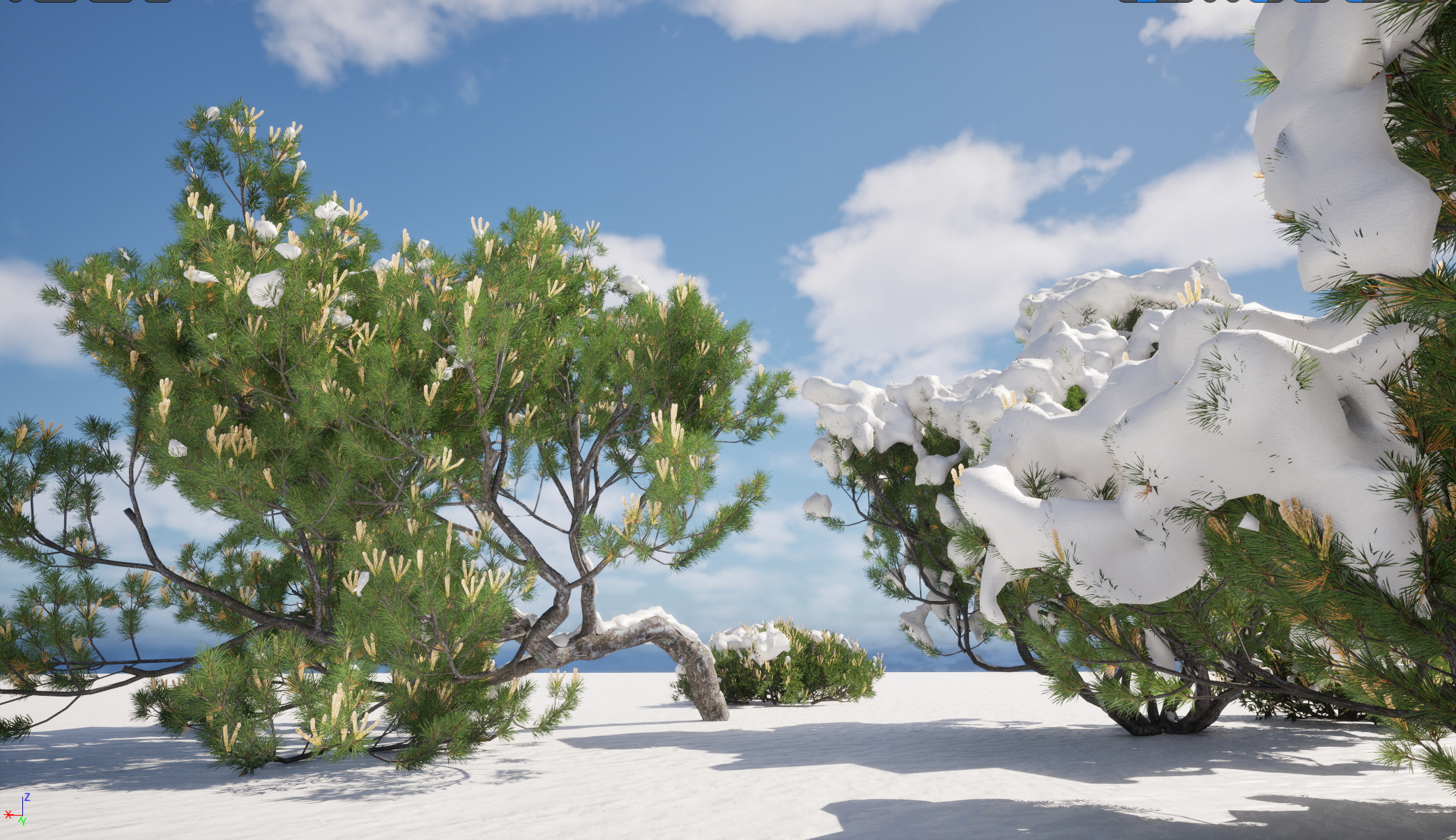 UE5 Nanite Snow Tree – Pinus mugo – Swiss mountain pine - Image 3