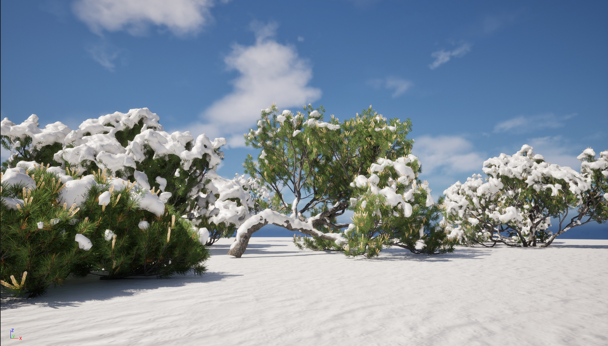 UE5 Nanite Snow Tree – Pinus mugo – Swiss mountain pine - Image 8