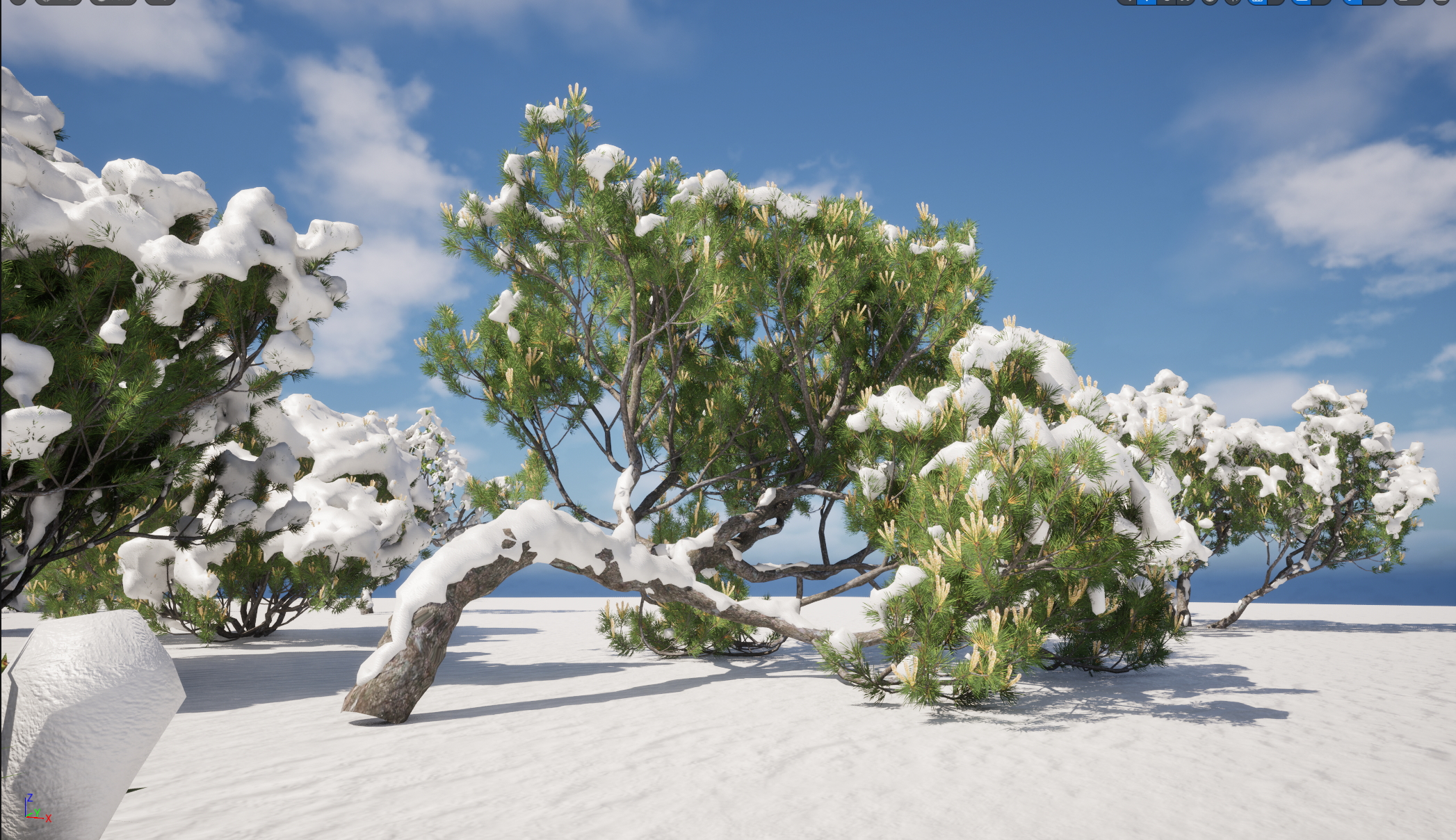 UE5 Nanite Snow Tree – Pinus mugo – Swiss mountain pine - Image 7