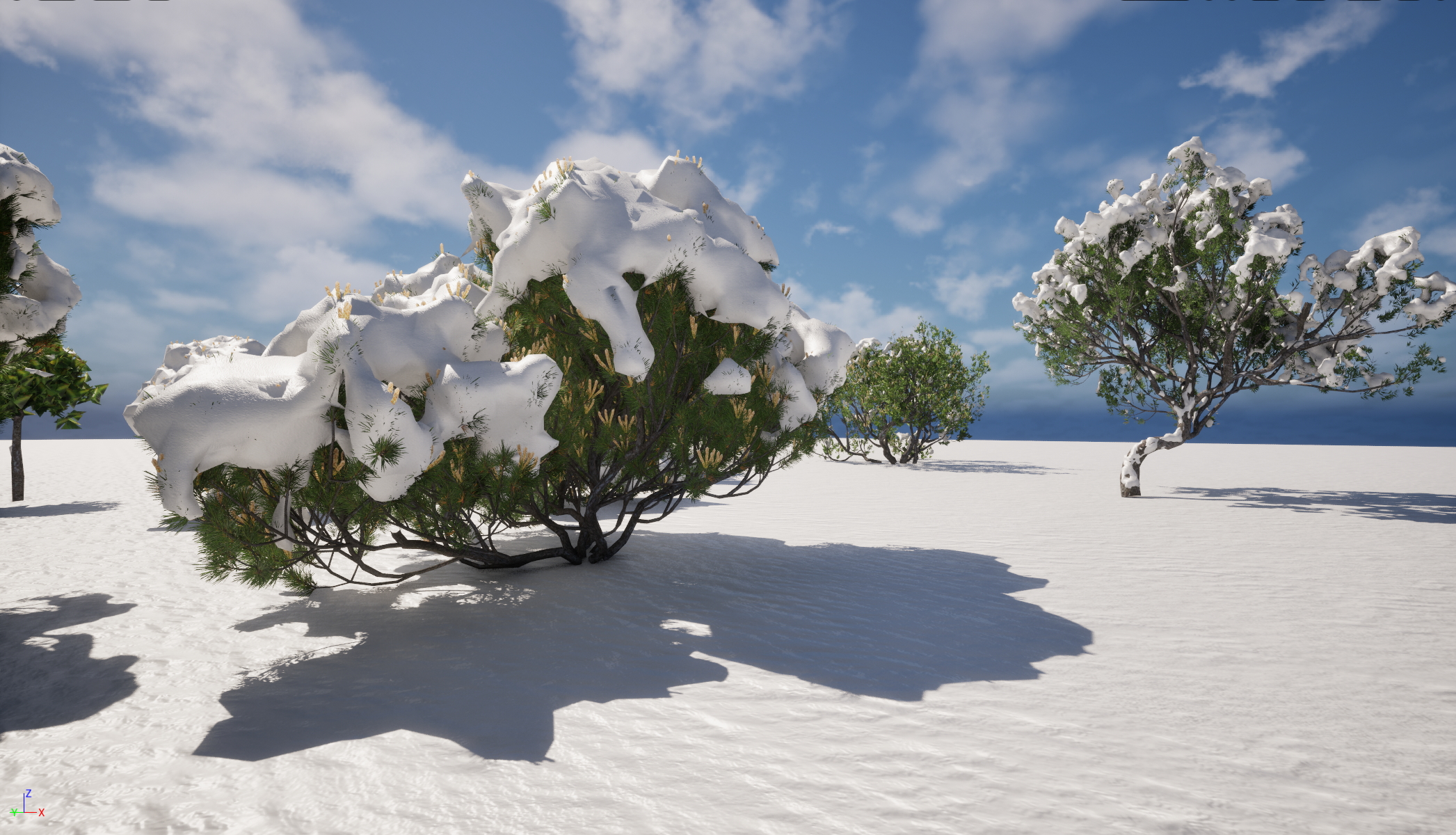 UE5 Nanite Snow Tree – Pinus mugo – Swiss mountain pine - Image 6