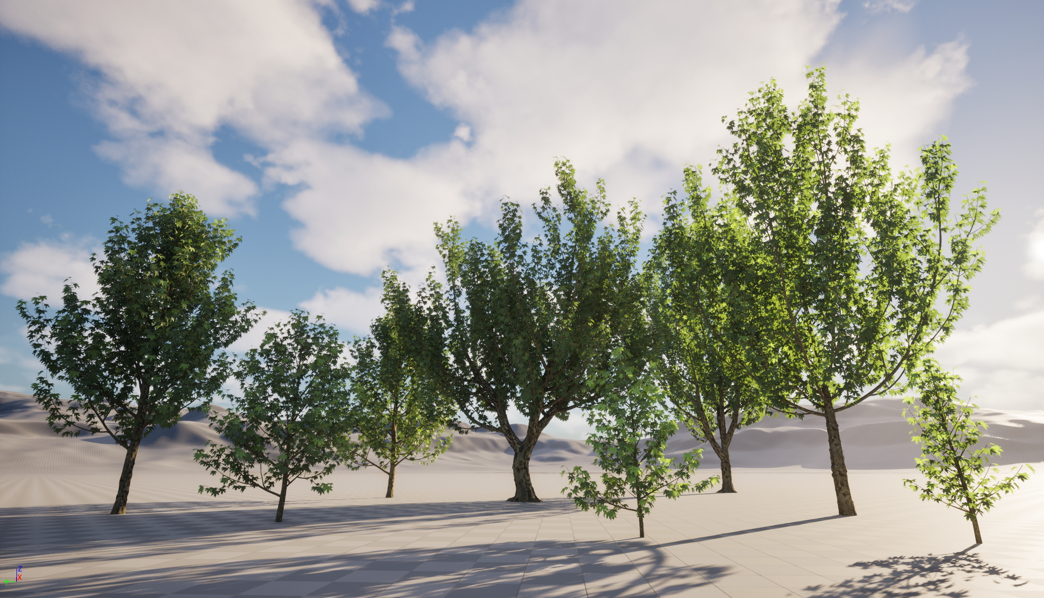 UE5 Wind Plants - Platanus orientalis – Oriental Plane (Nanite+Masked material)