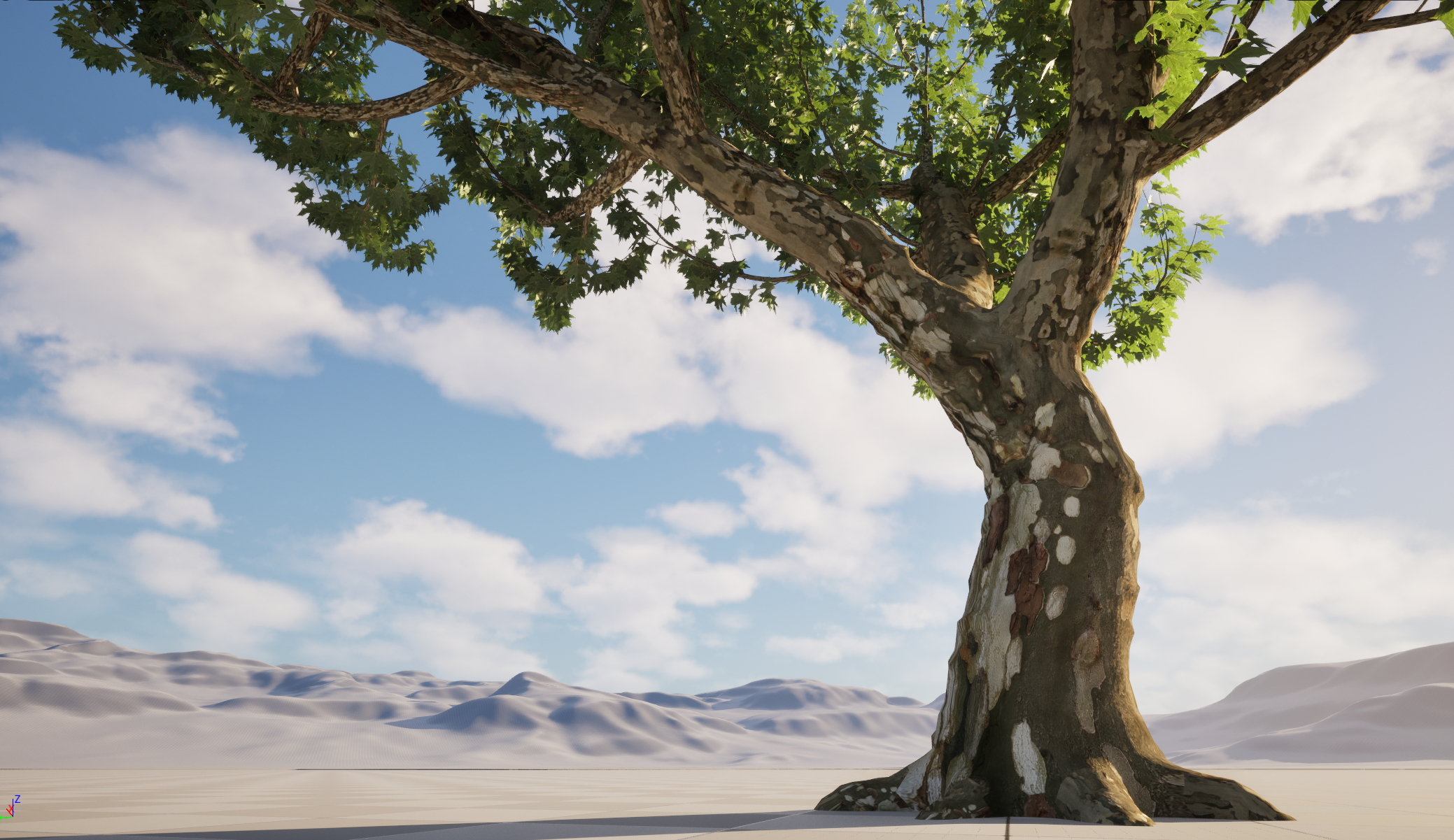 UE5 Wind Plants - Platanus orientalis – Oriental Plane (Nanite+Masked material) - Image 11