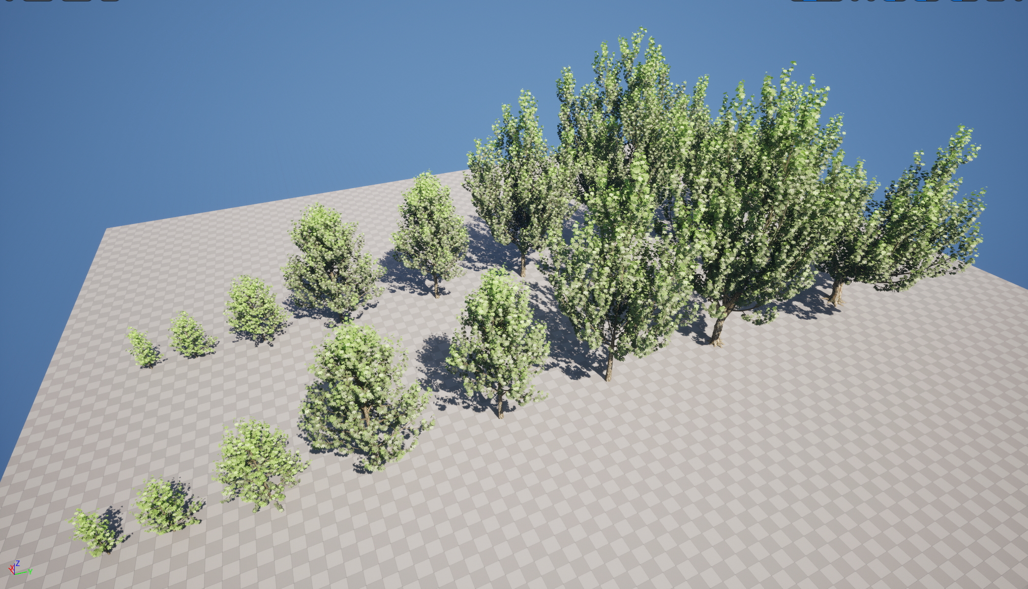 UE5 Wind Plants - Platanus orientalis – Oriental Plane (Nanite+Masked material) - Image 9