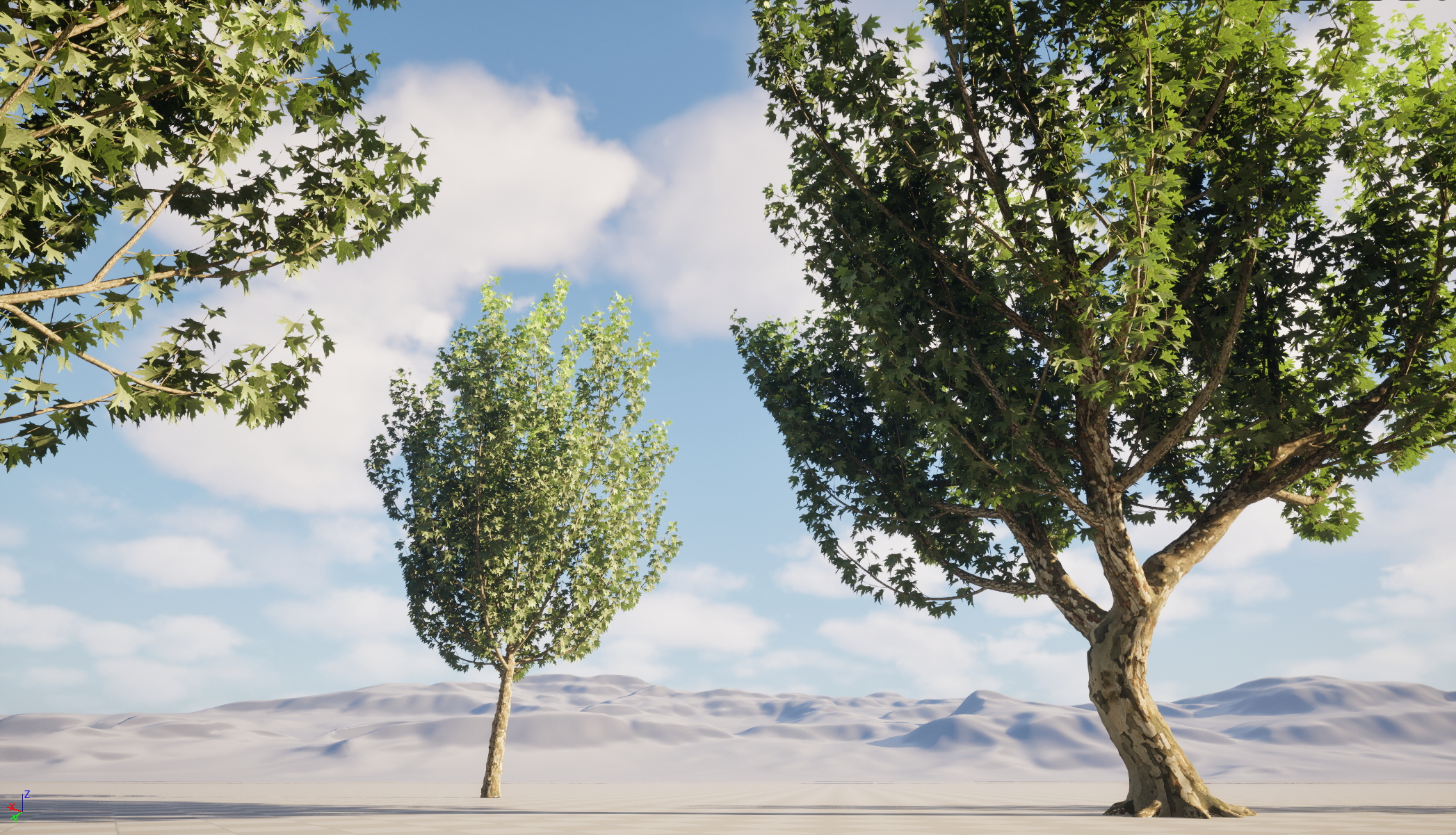 UE5 Wind Plants - Platanus orientalis – Oriental Plane (Nanite+Masked material) - Image 4