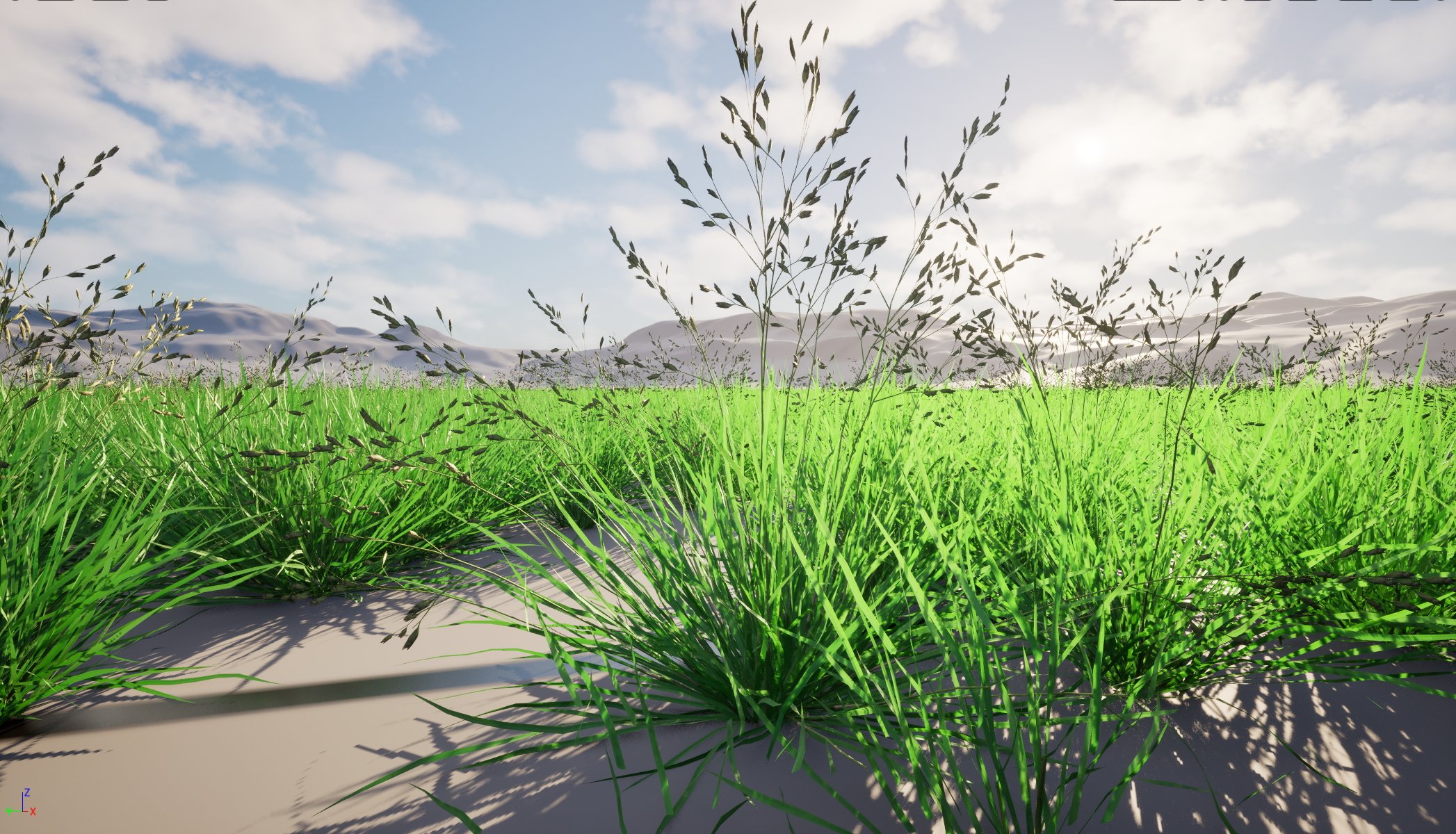 UE5 Nanite Wind Plants - Poa annua - Annual meadow grass - Image 2