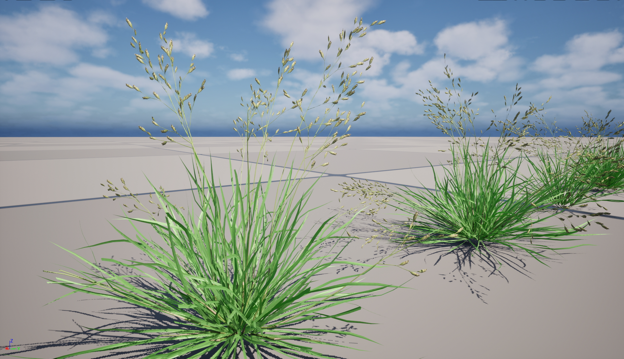 UE5 Nanite Wind Plants - Poa annua - Annual meadow grass - Image 4
